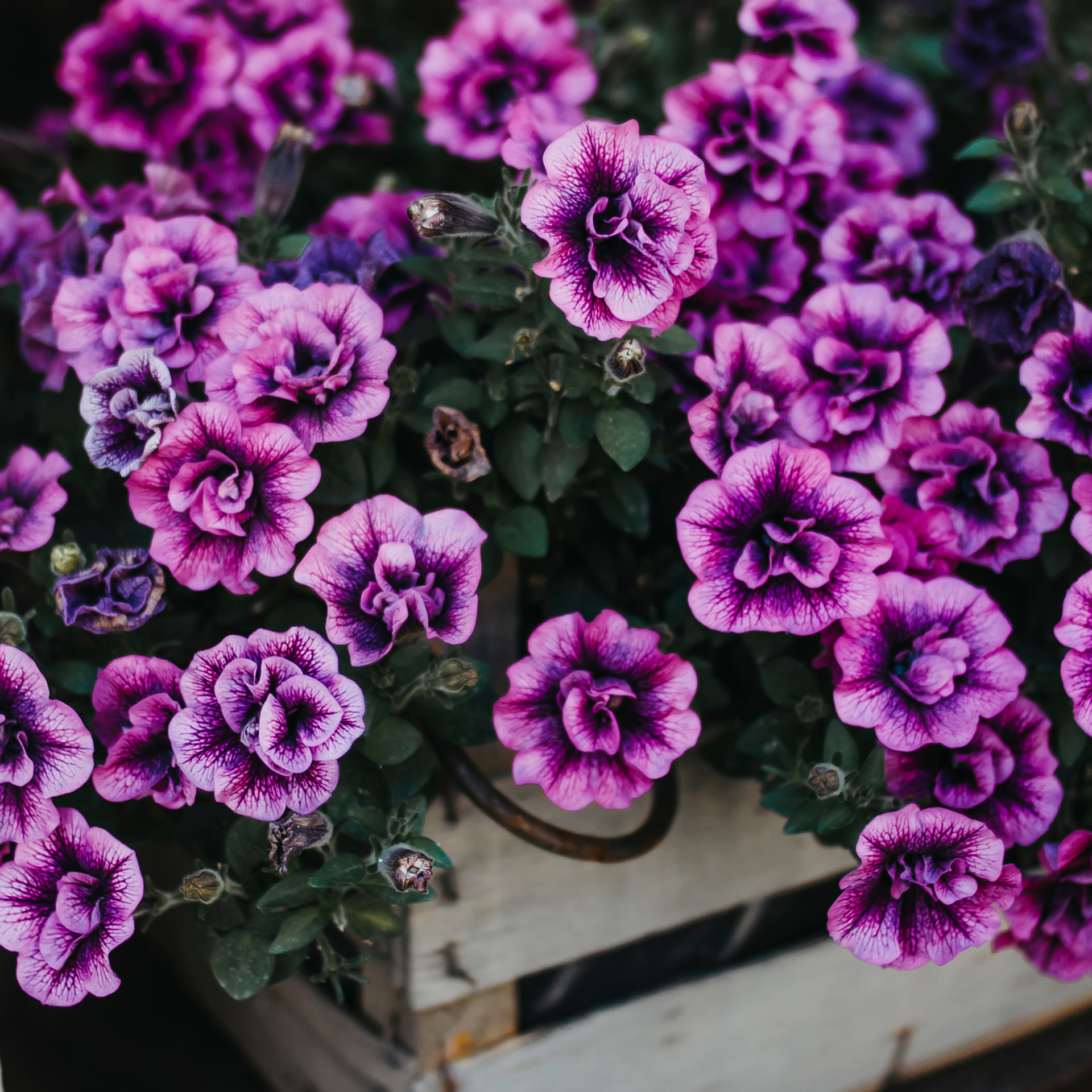 Казань (июль 2019)