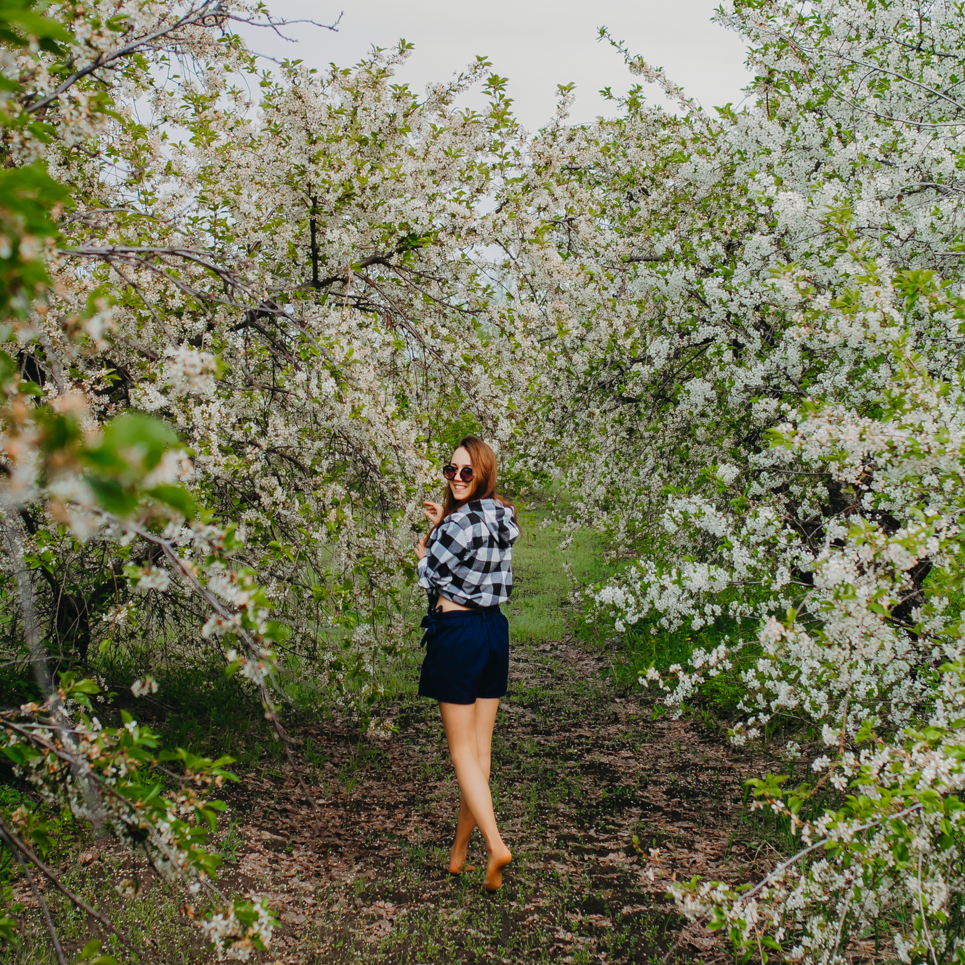 Хвалынские яблоневые сады (май 2019)
