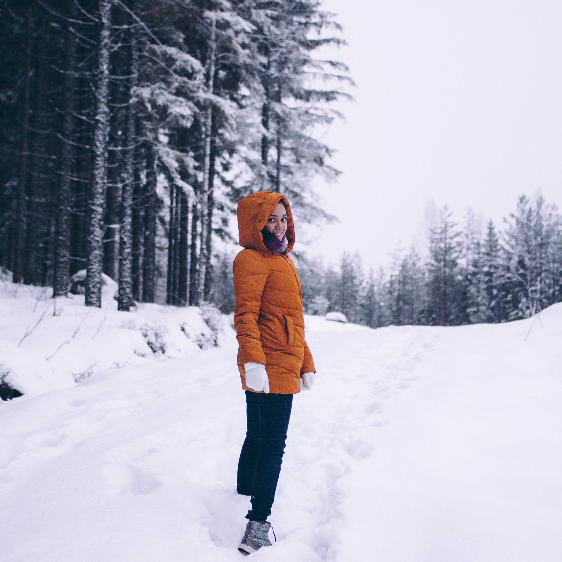 Финляндия (Новый год 2018)