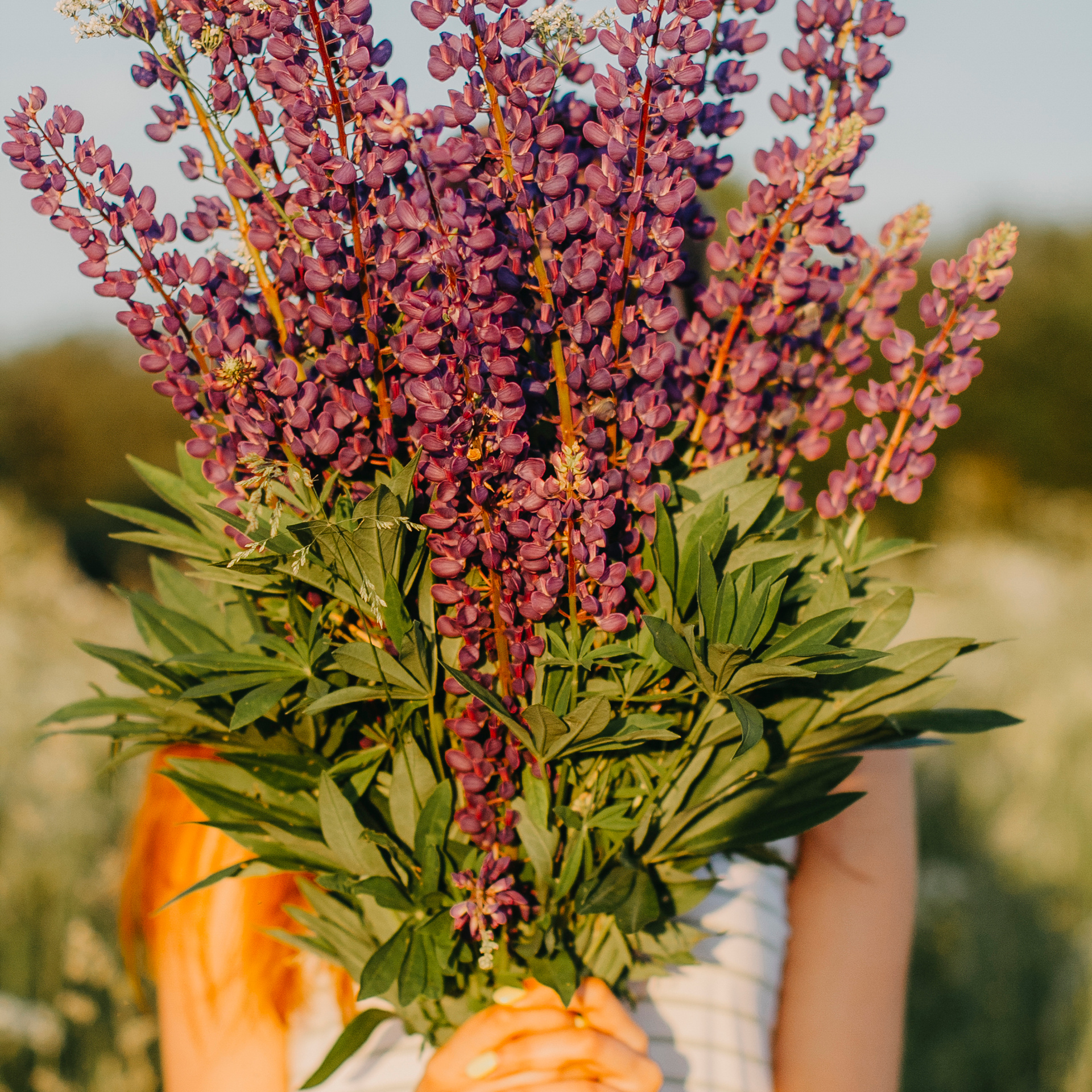 Турбаза Алоль (июнь 2019)