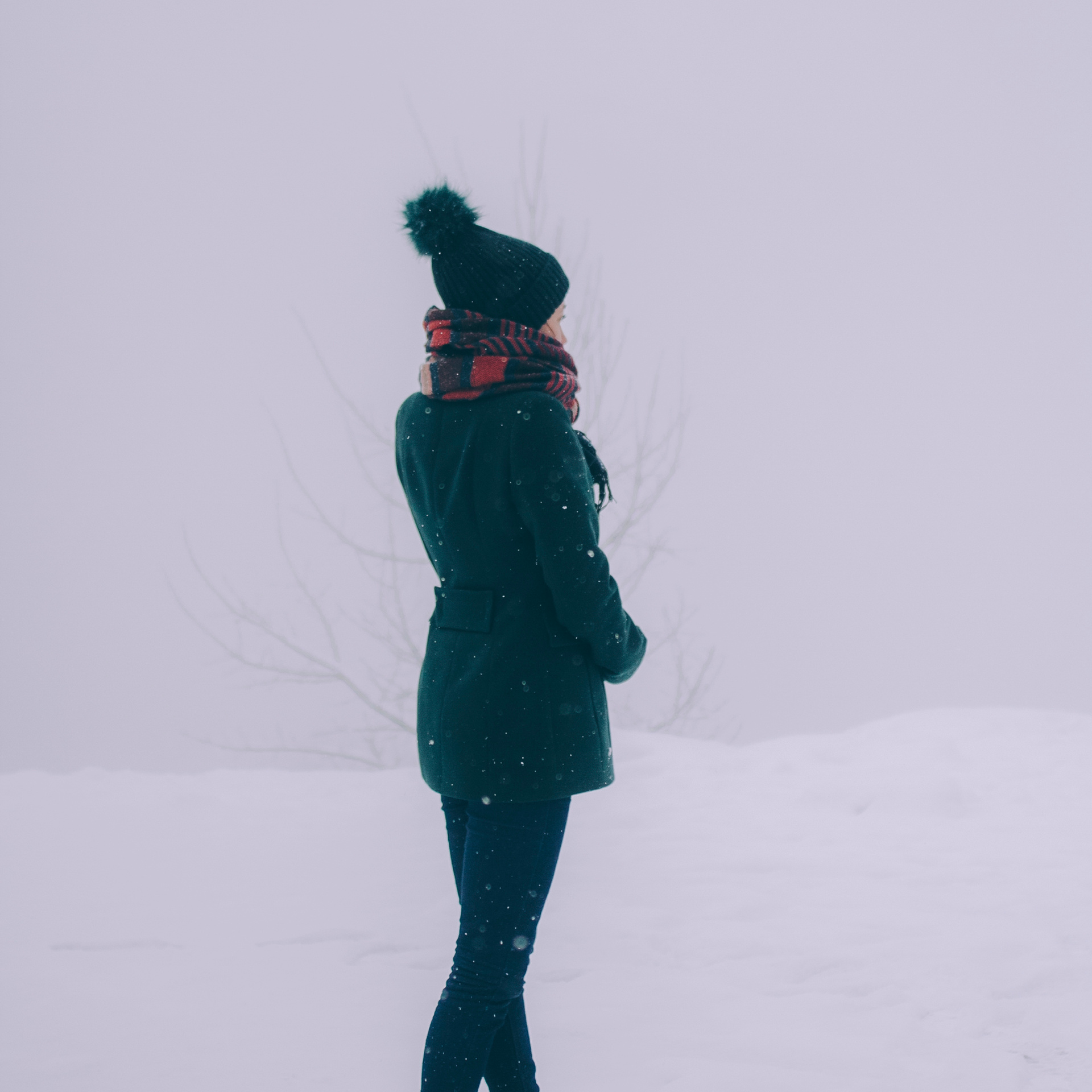 Сочи (декабрь 2017)