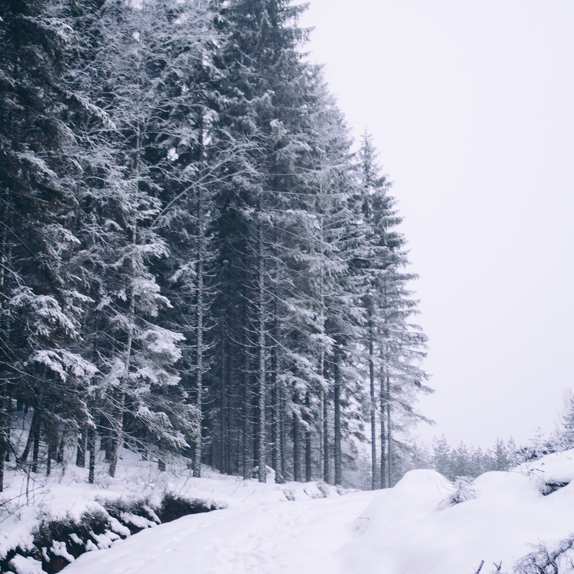 Финляндия (Новый год 2018)