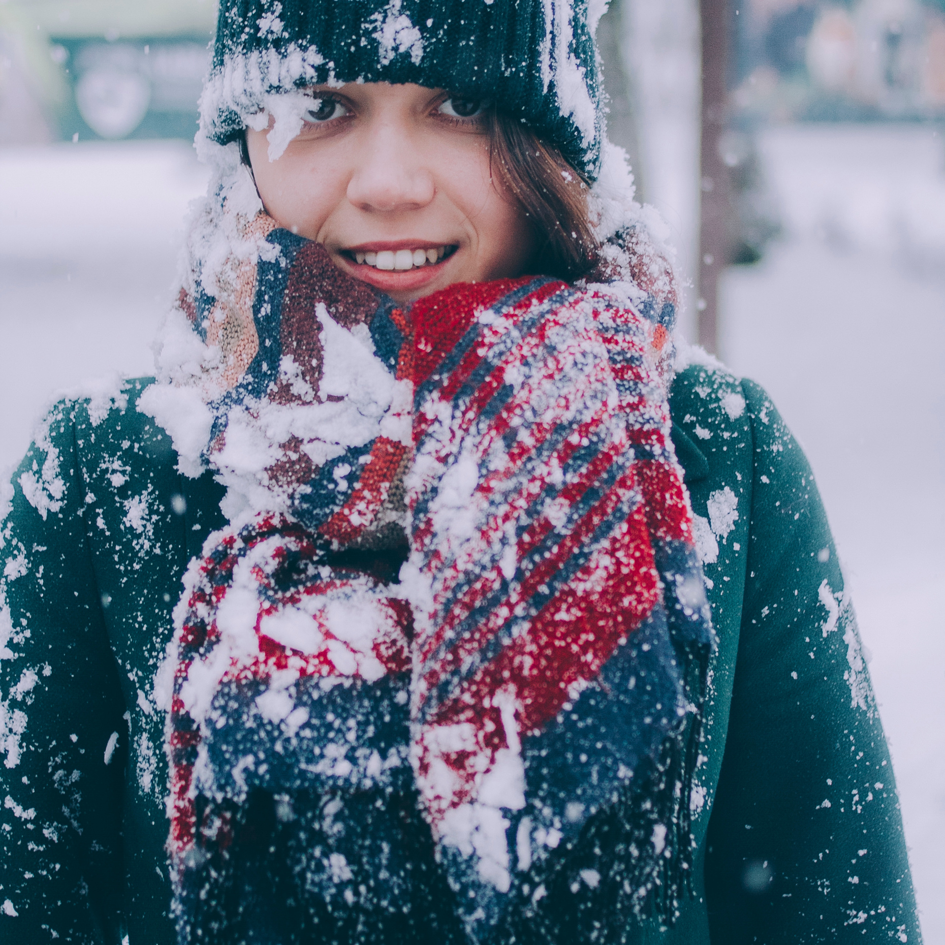 Сочи (декабрь 2017)