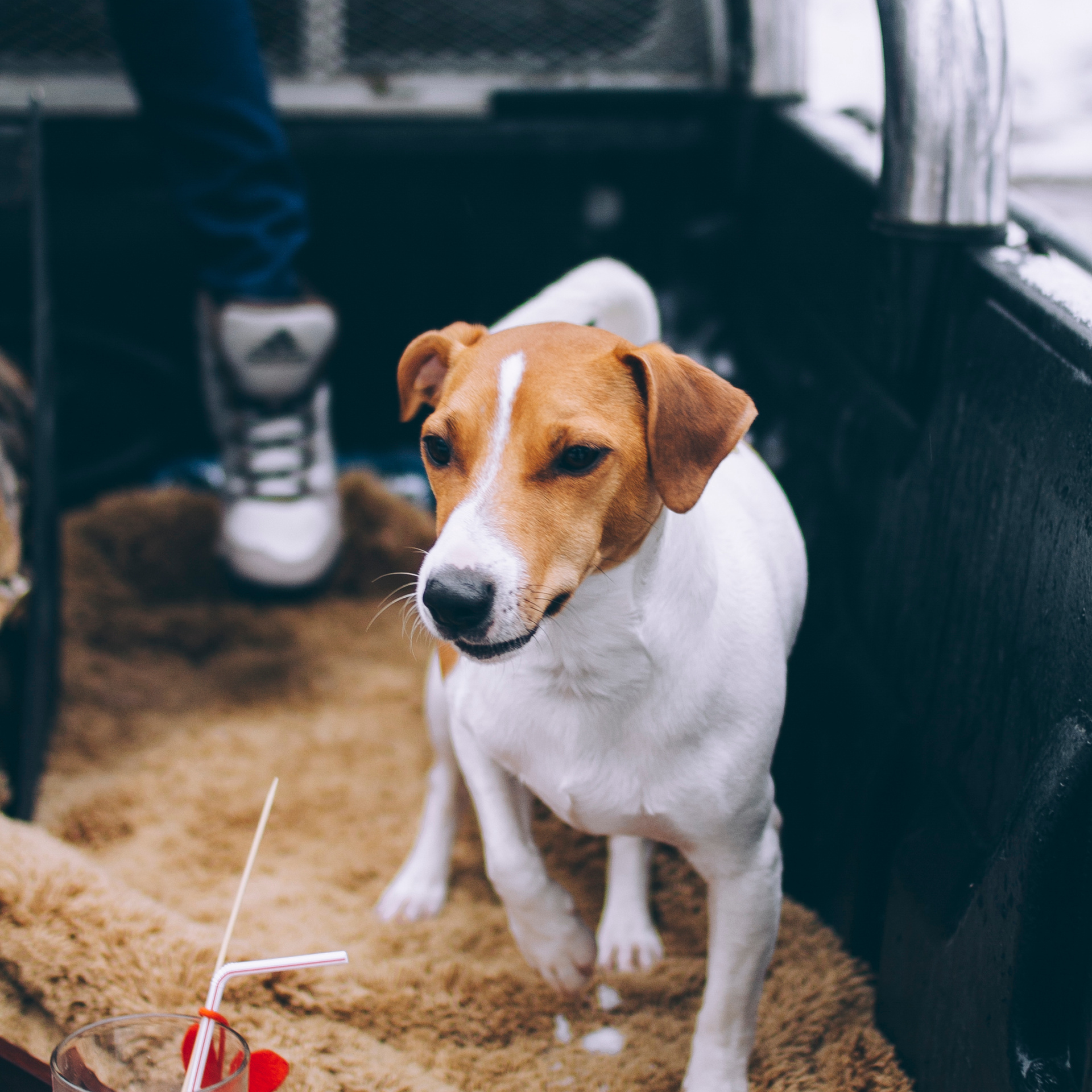 Финляндия (Новый год 2018)