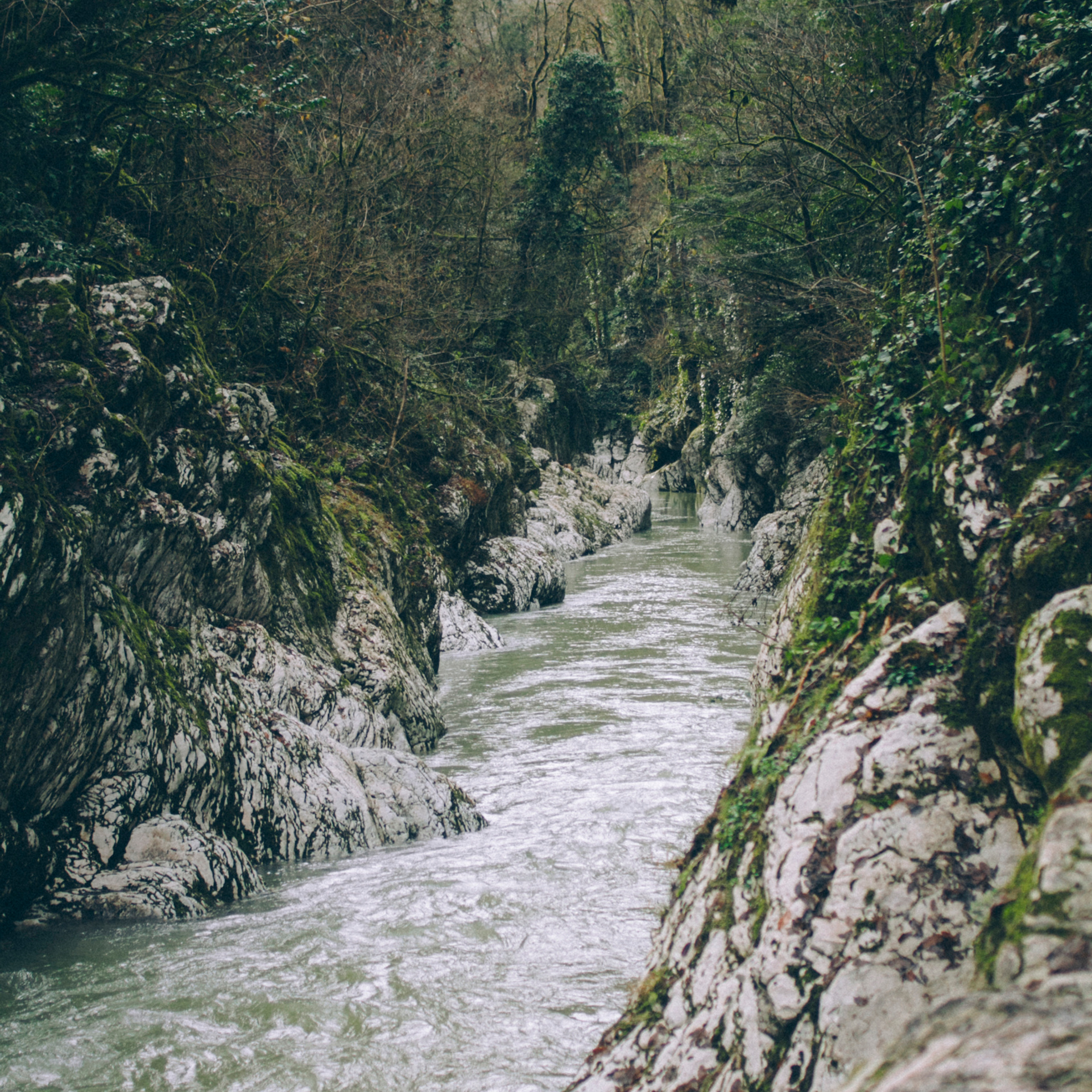 Сочи (декабрь 2017)