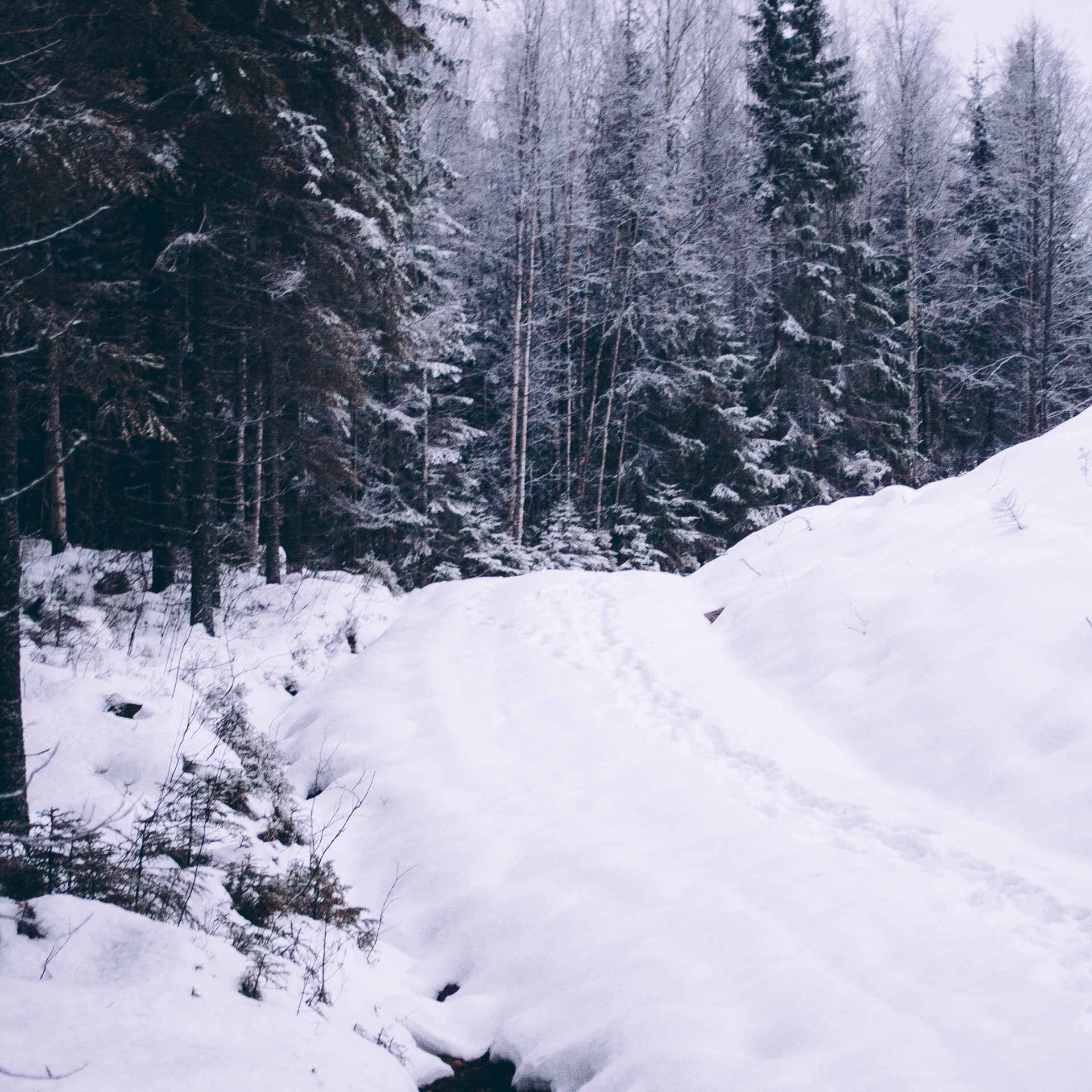 Финляндия (Новый год 2018)