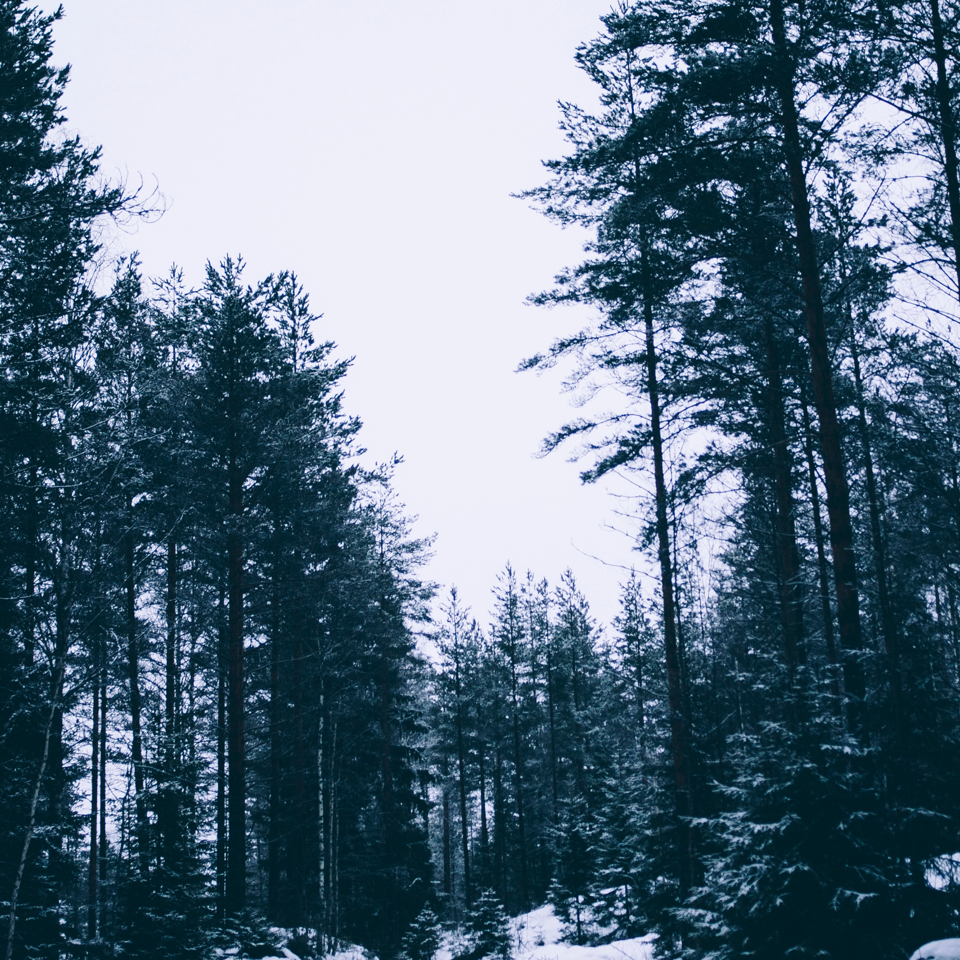 Финляндия (Новый год 2018)