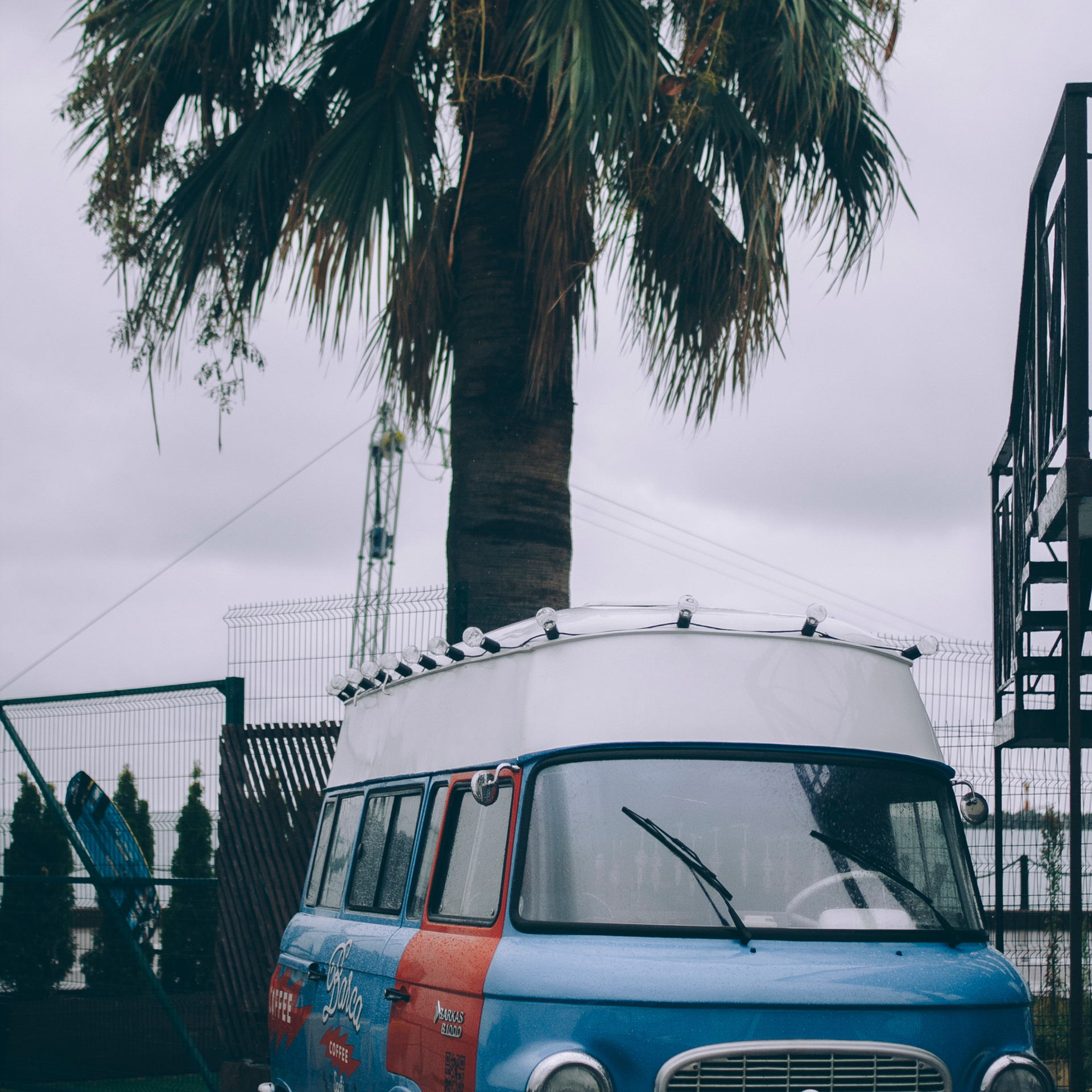 Сочи (декабрь 2017)