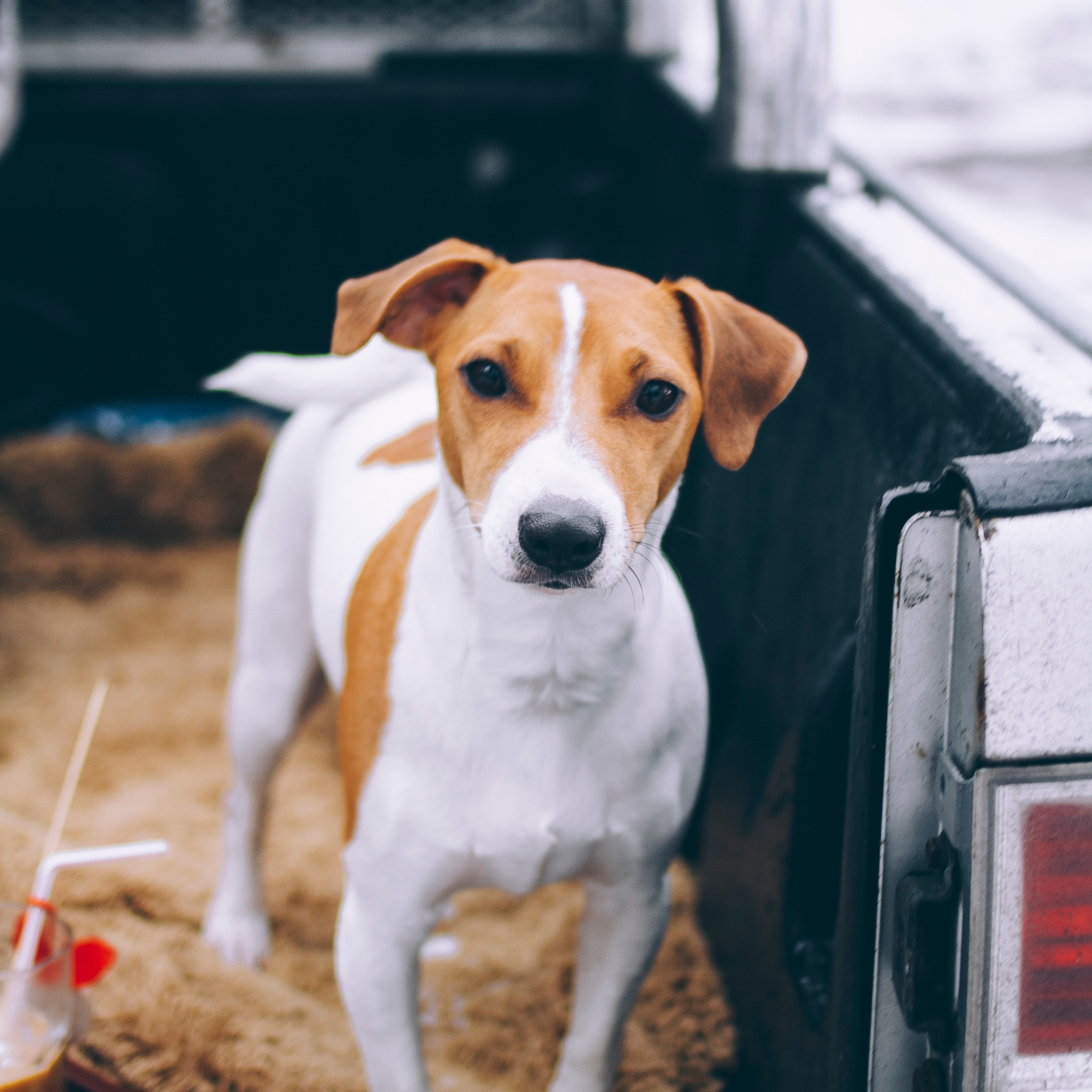 Финляндия (Новый год 2018)