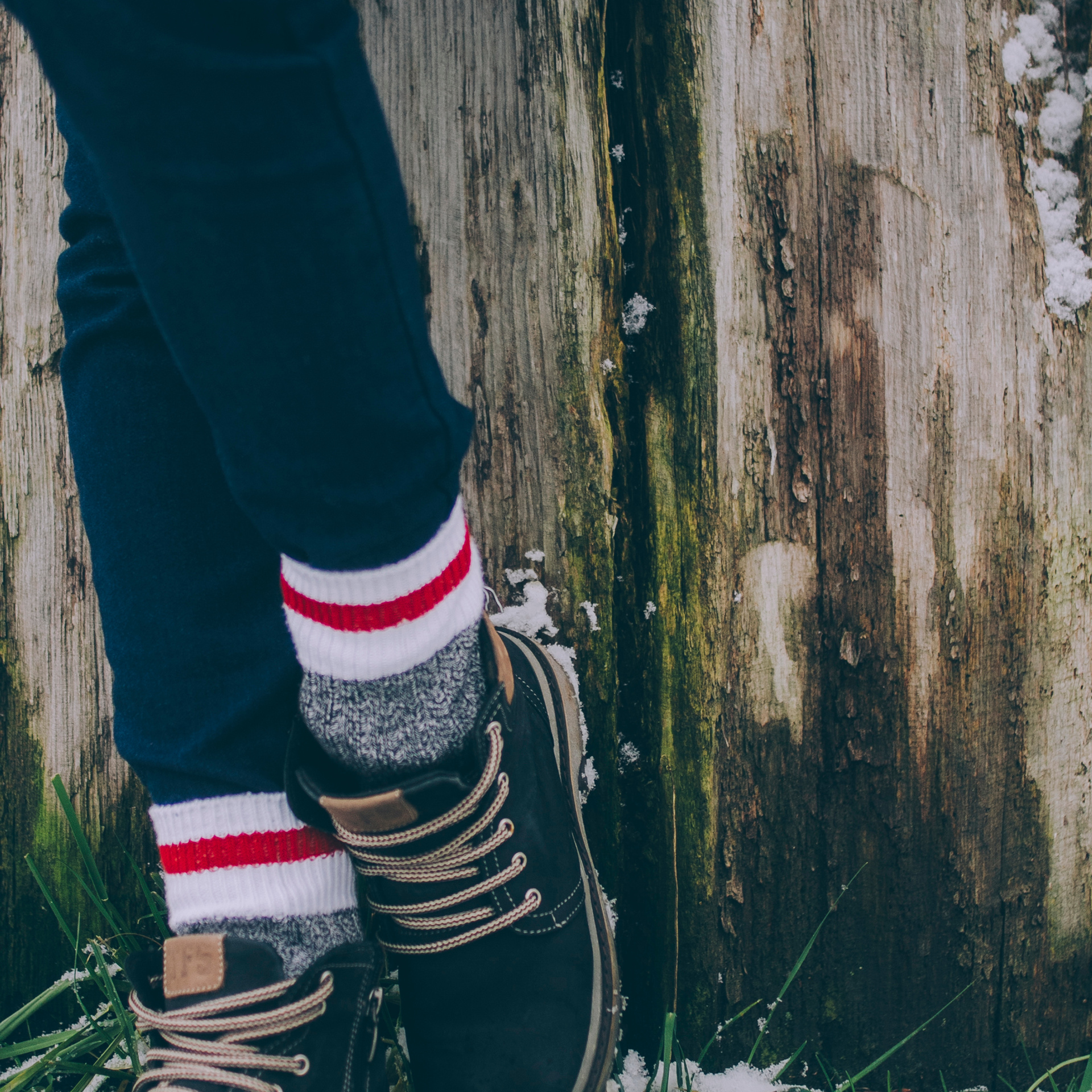 Сочи (декабрь 2017)