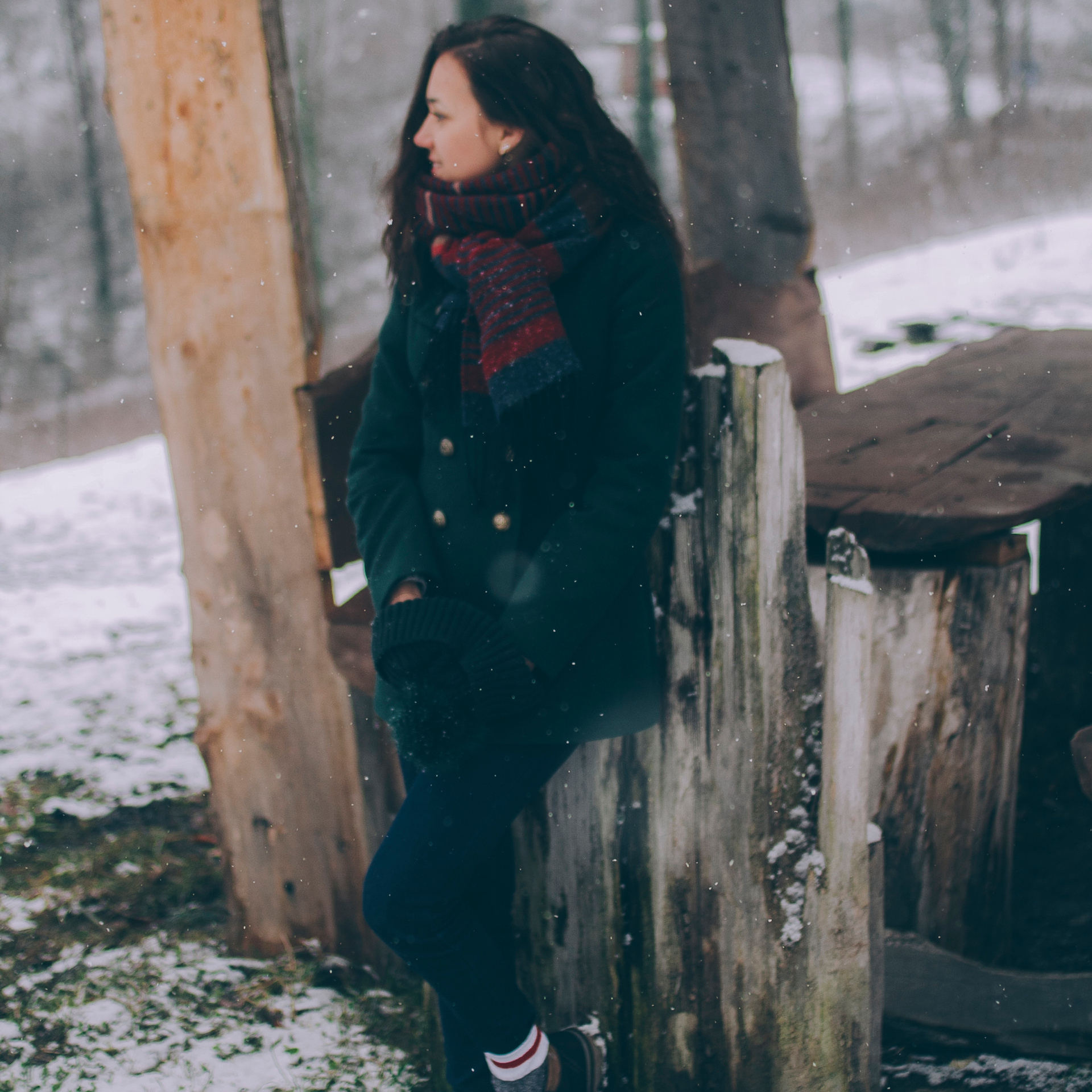 Сочи (декабрь 2017)