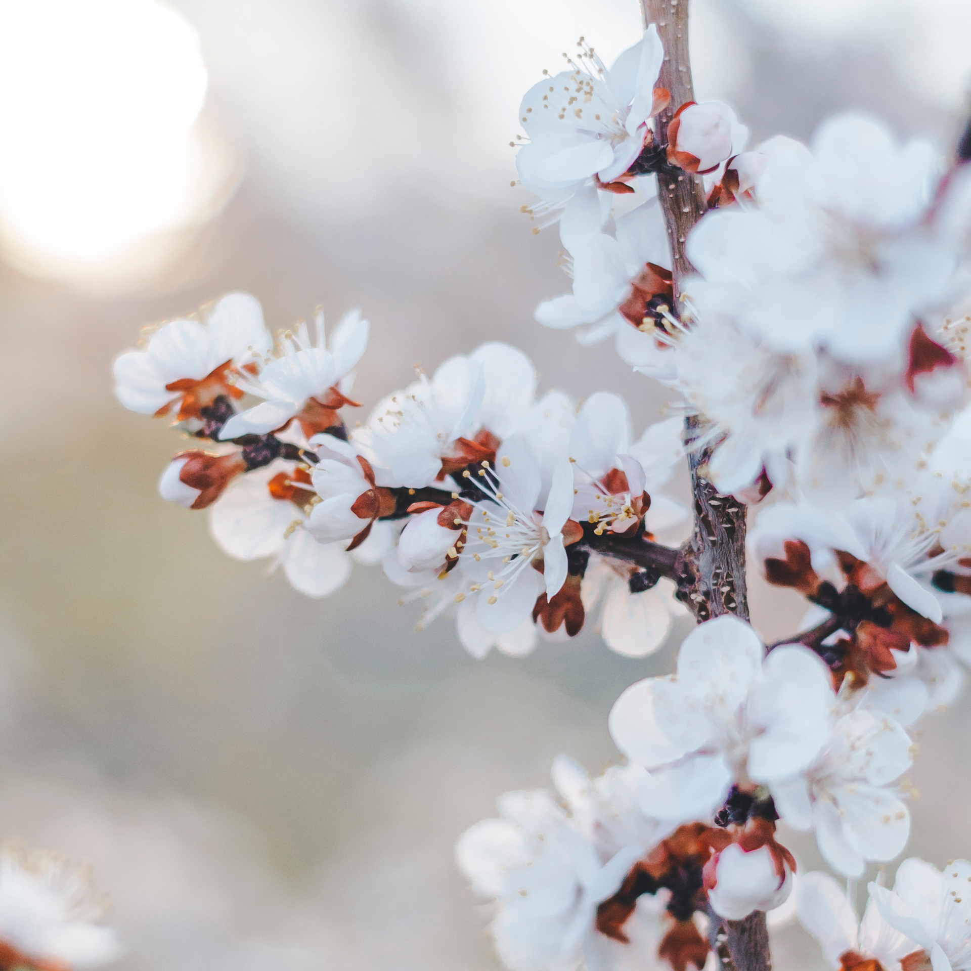 Уральск. Казахстан (май 2019)