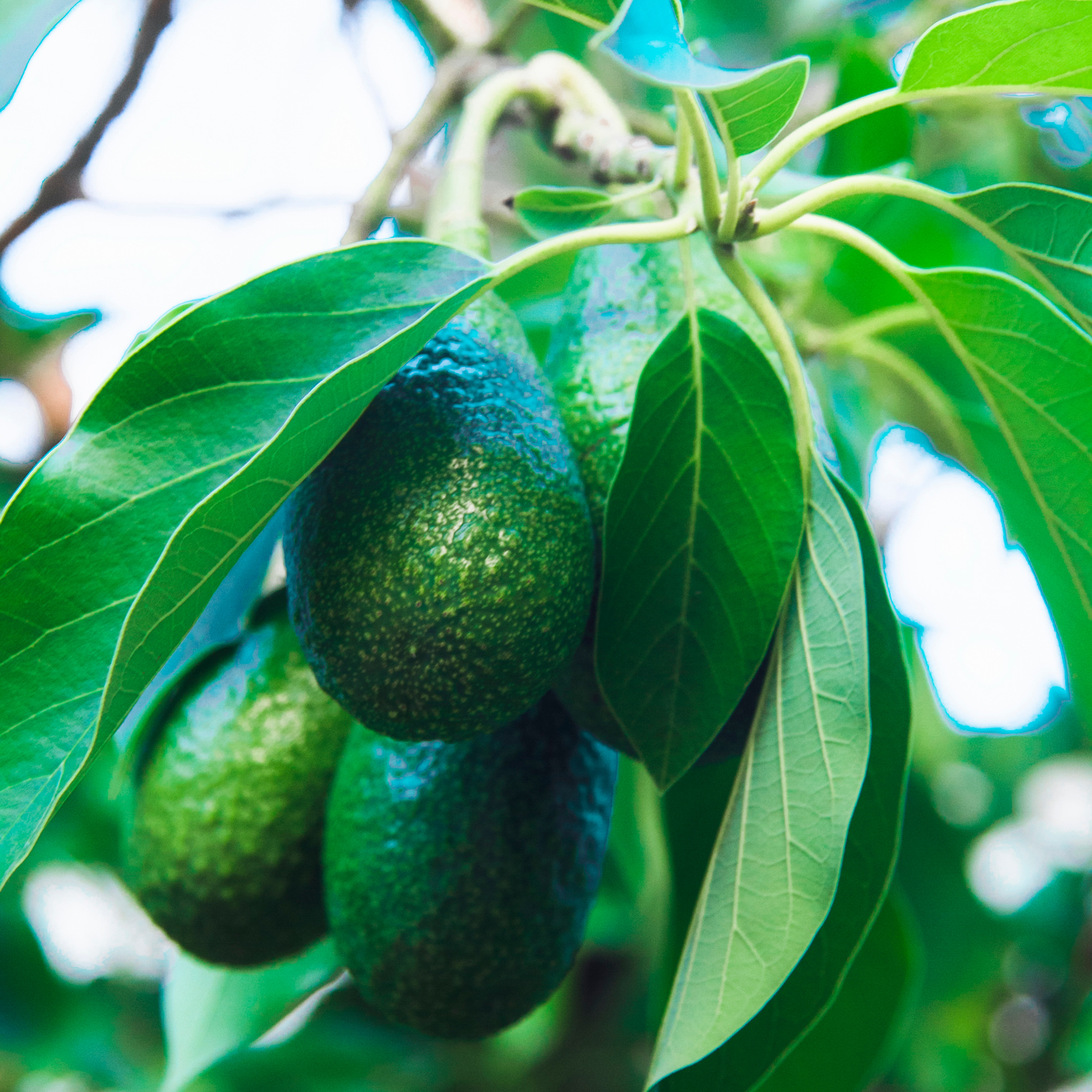 Кемер Турция (июль 2018)