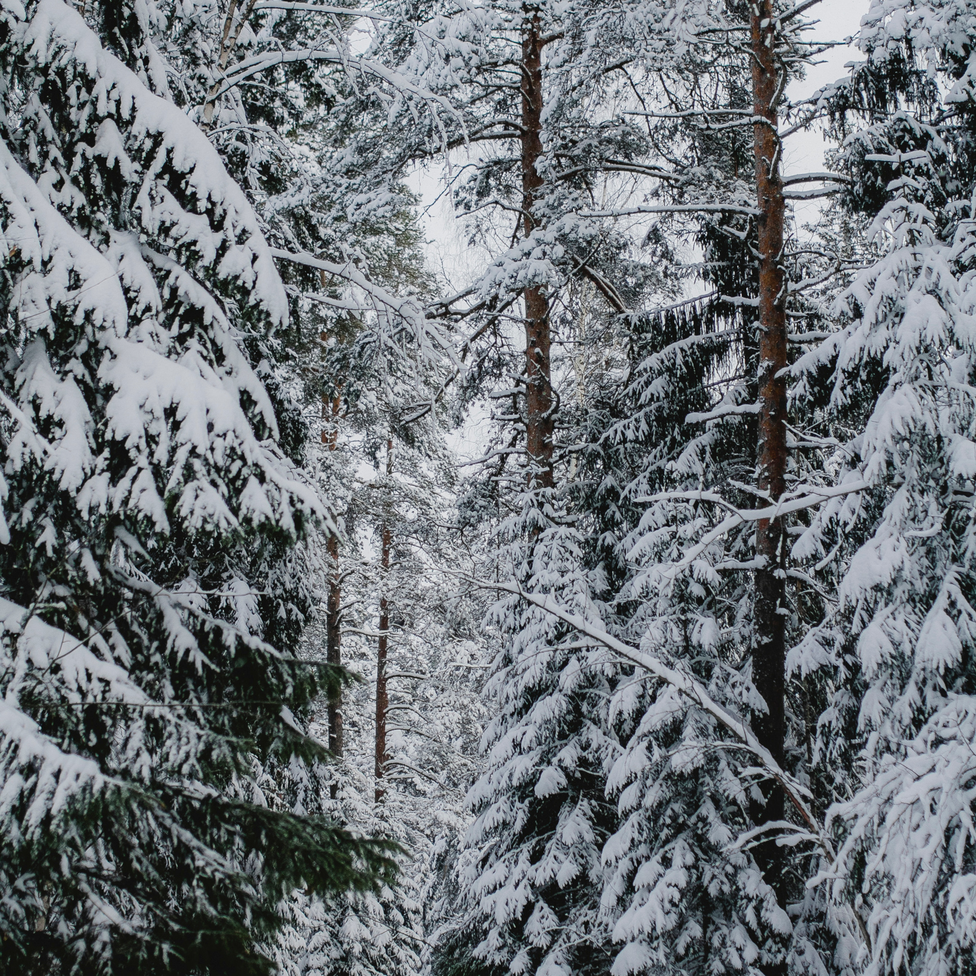 Рускеала Карелия (февраль 2018)