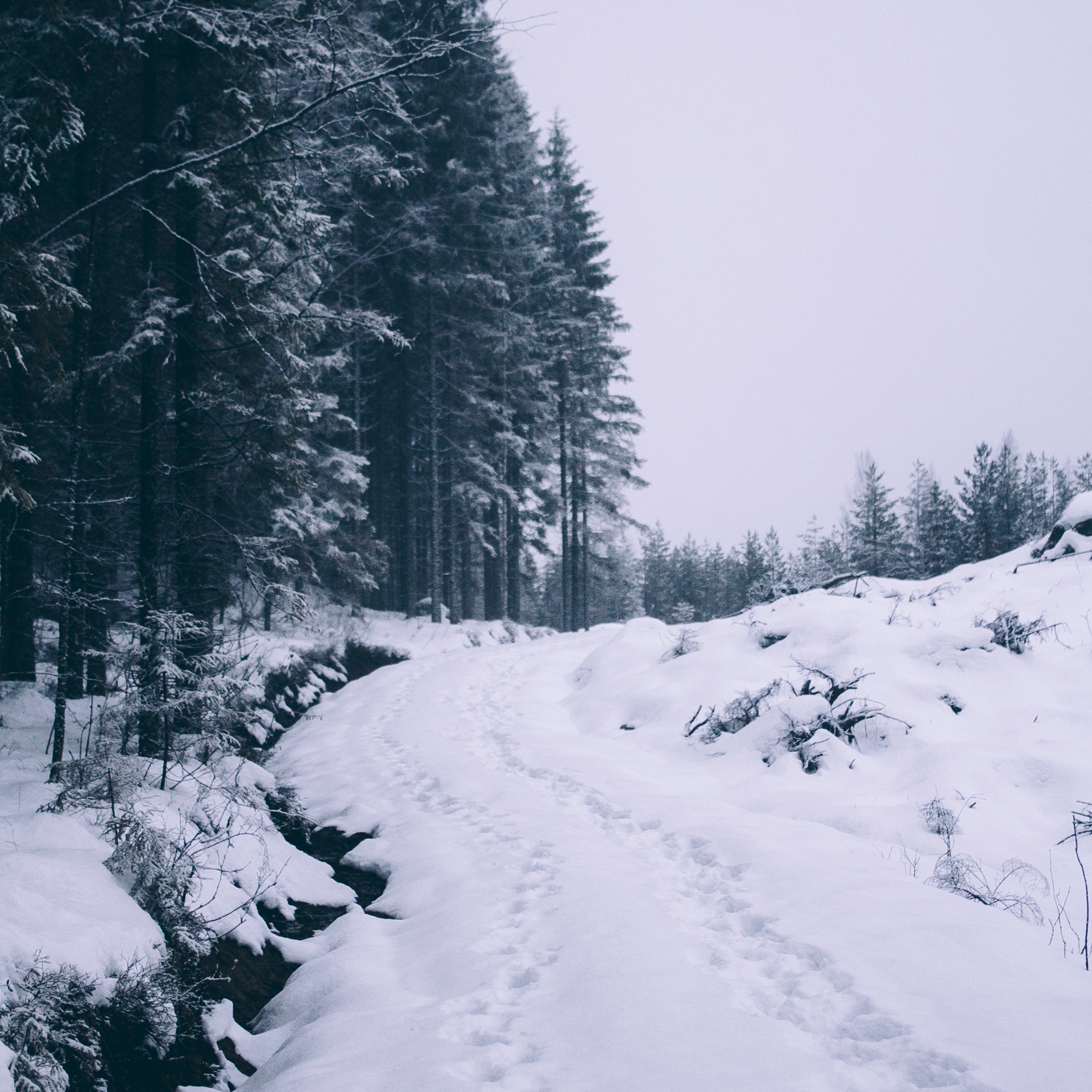 Финляндия (Новый год 2018)