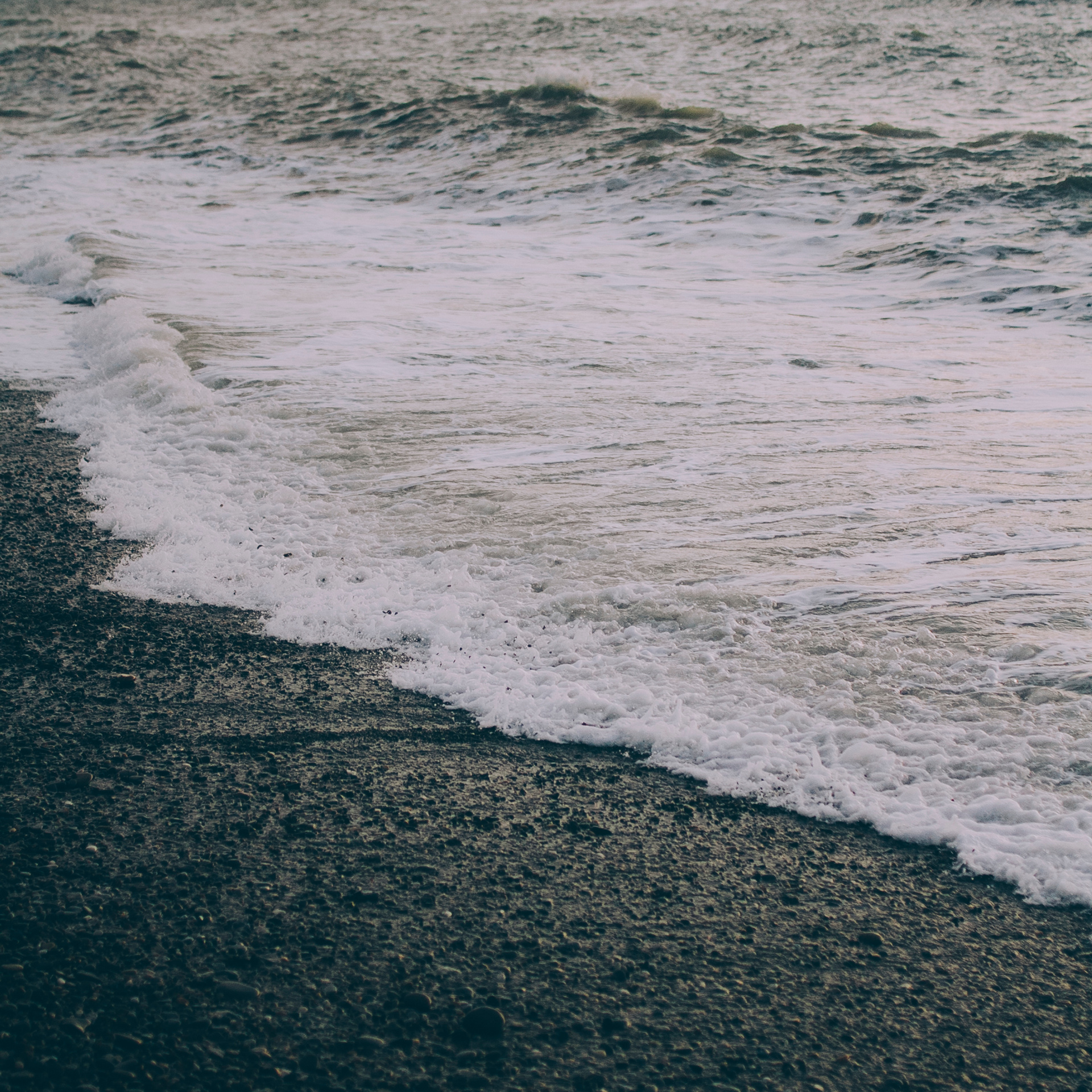 Сочи (декабрь 2017)