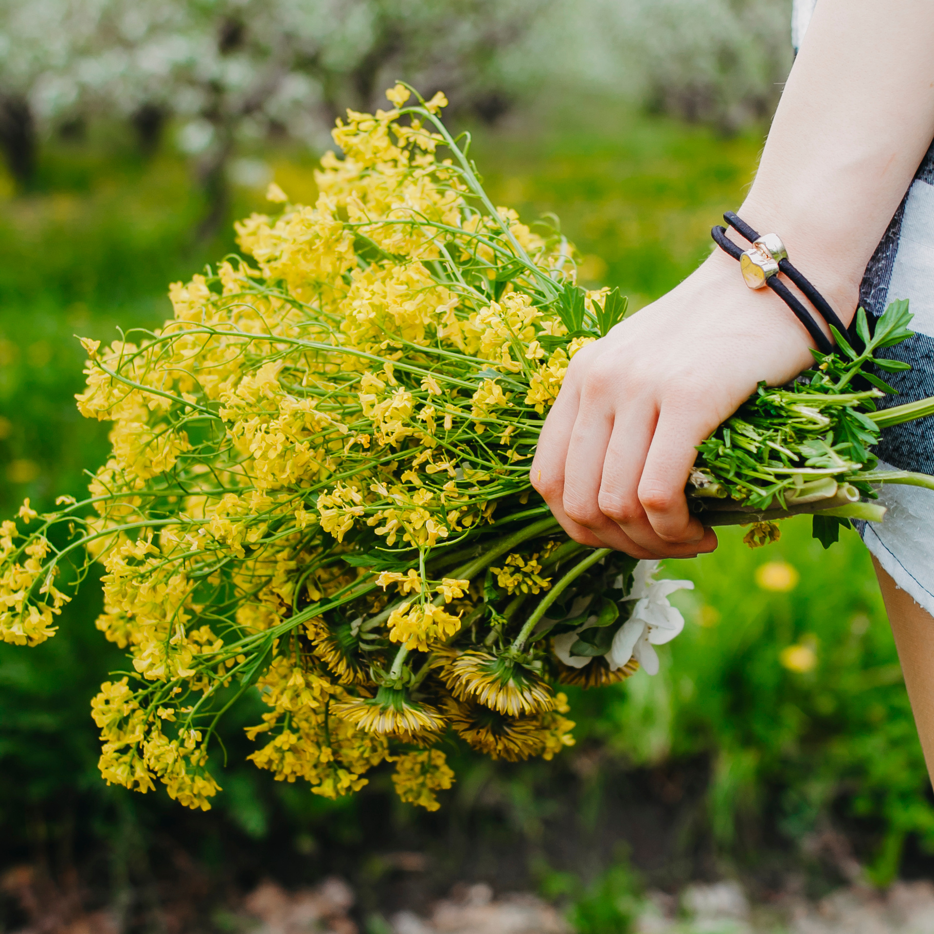 Хвалынские яблоневые сады (май 2019)