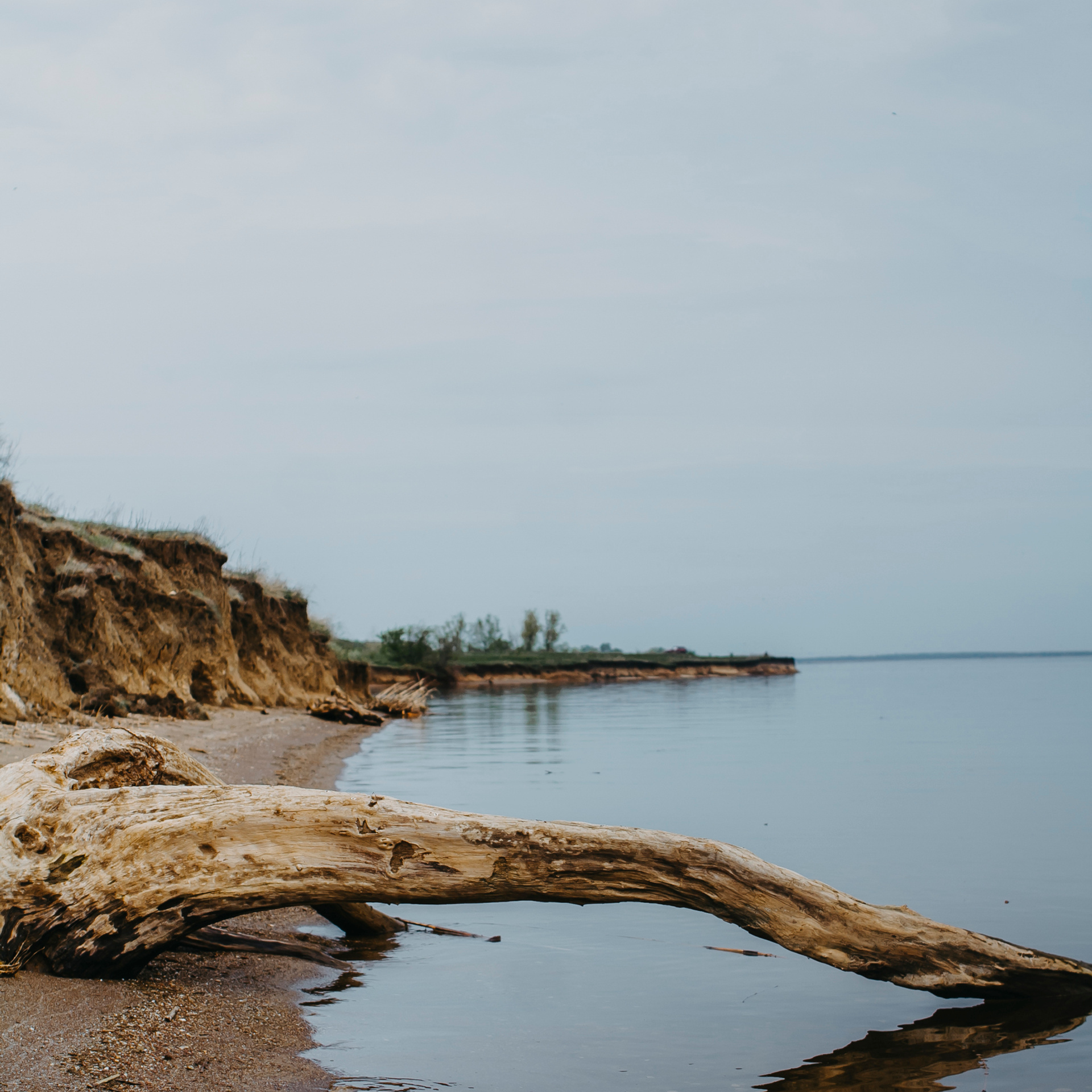 Хвалынские яблоневые сады (май 2019)