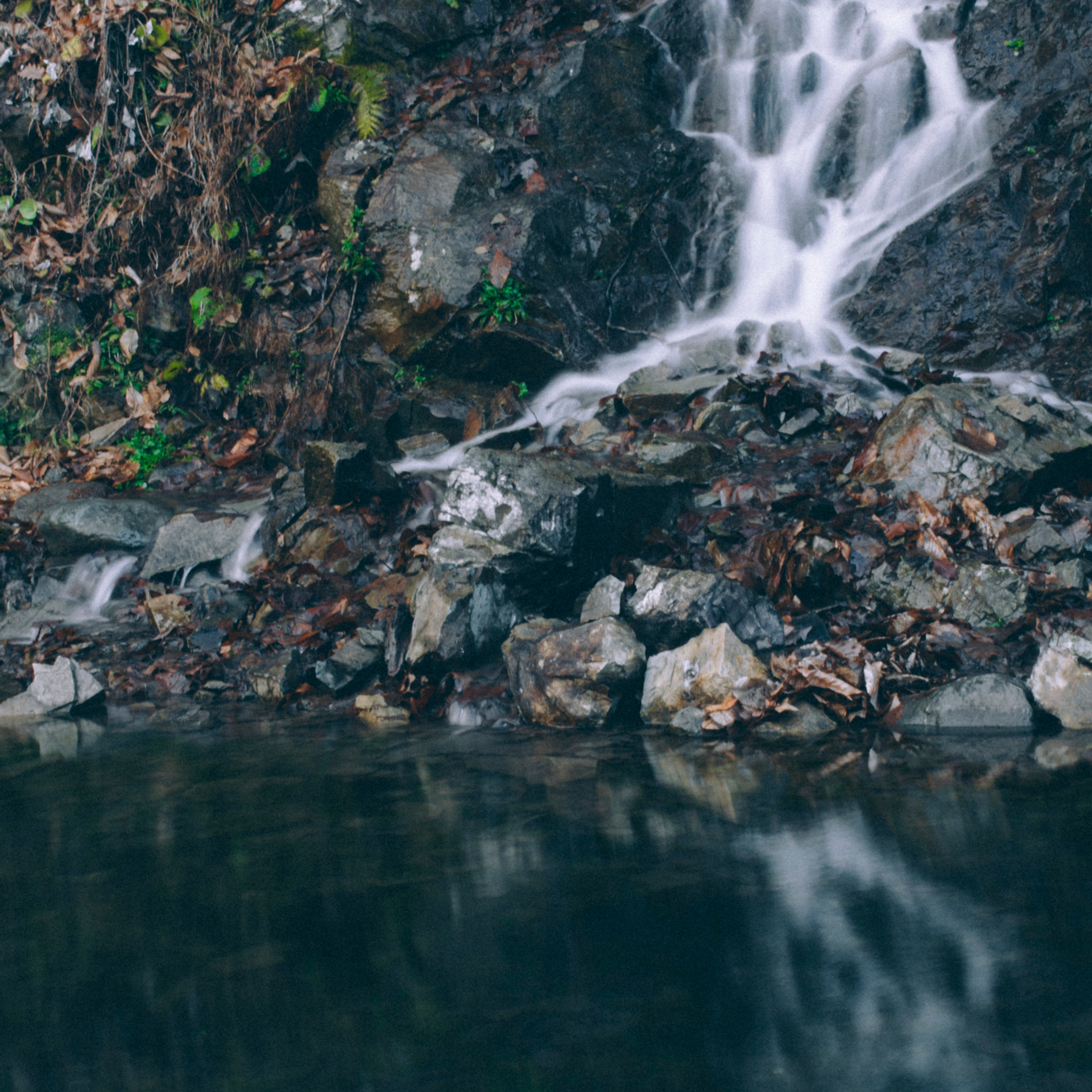 Сочи (декабрь 2017)