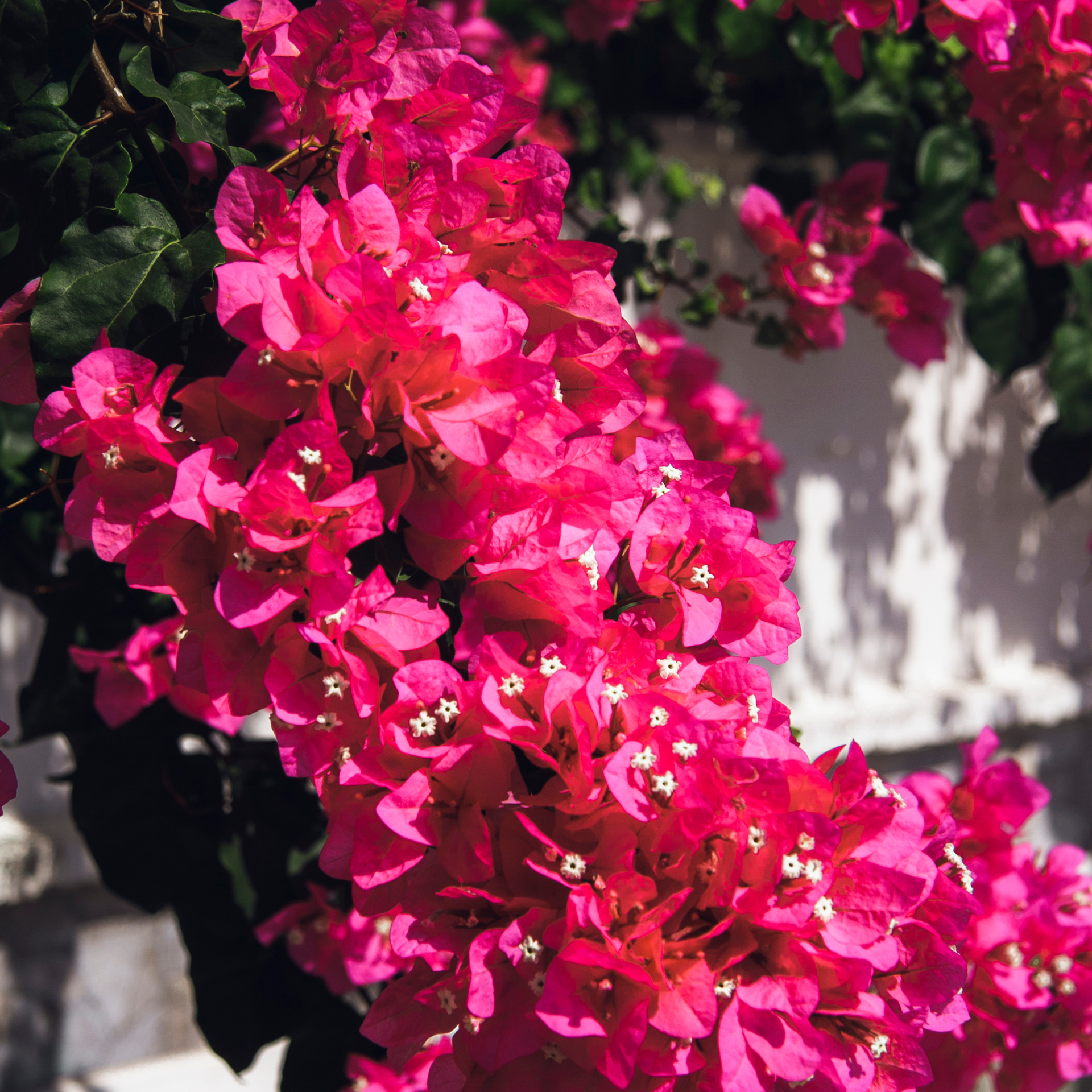 Кемер Турция (июль 2018)