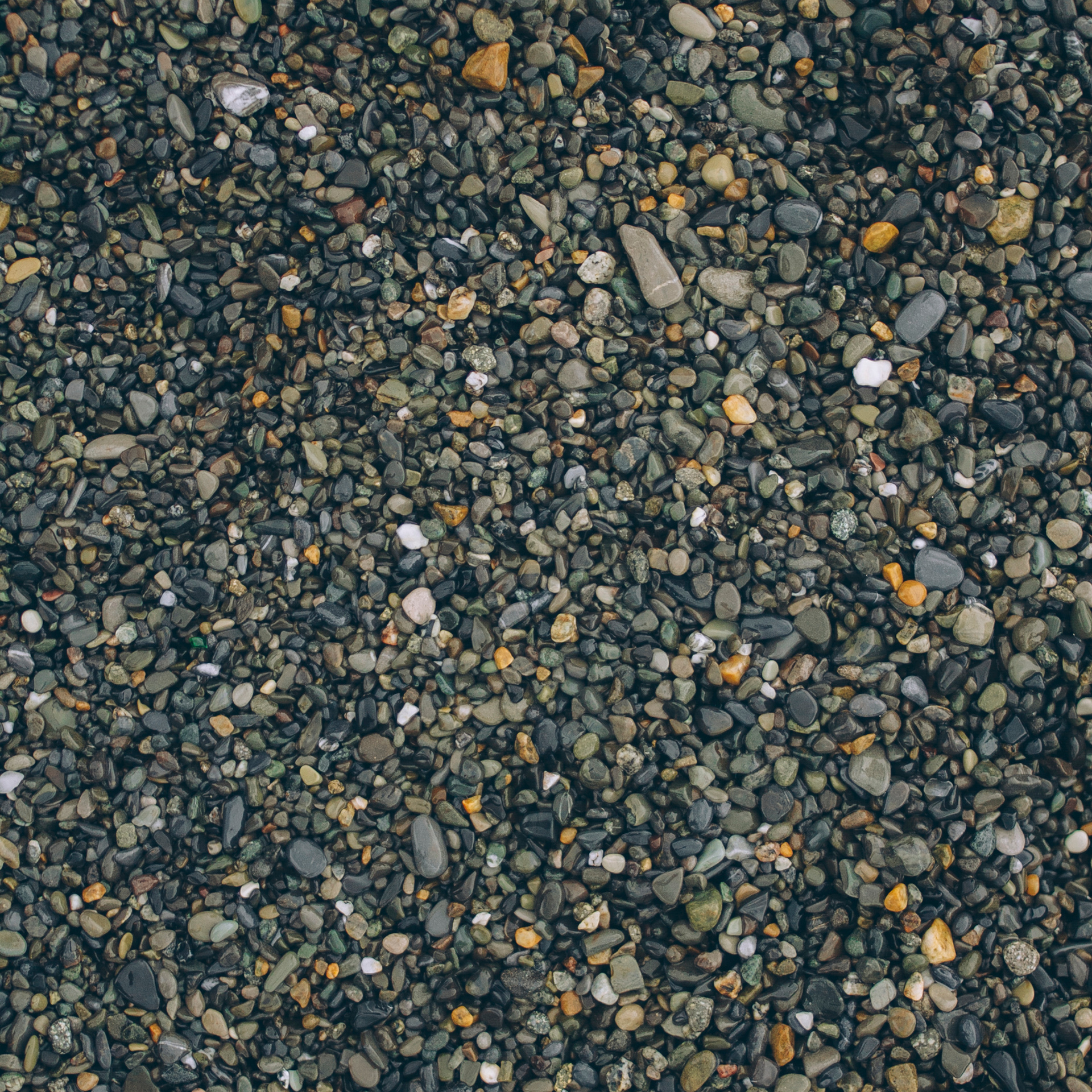 Сочи (декабрь 2017)