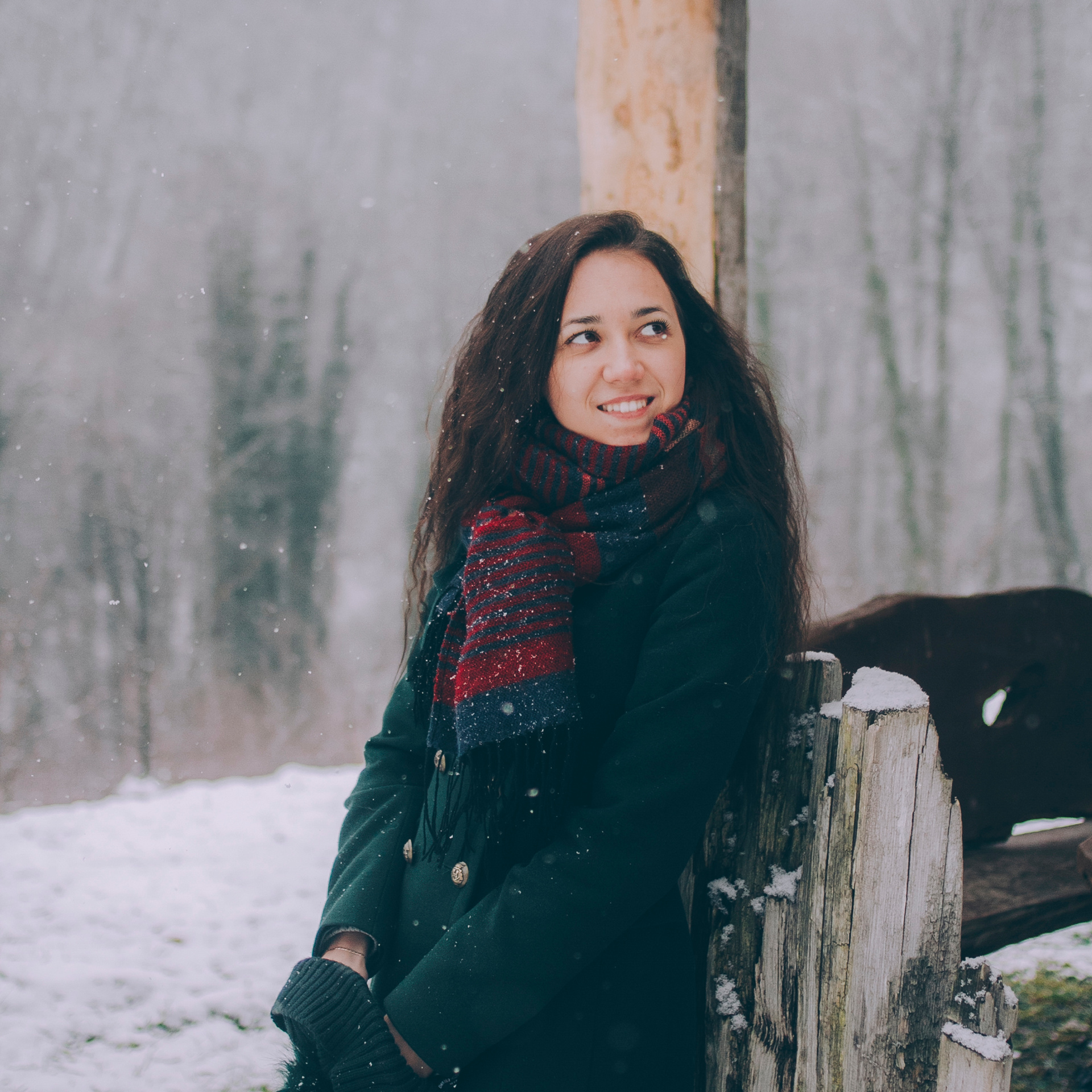 Сочи (декабрь 2017)