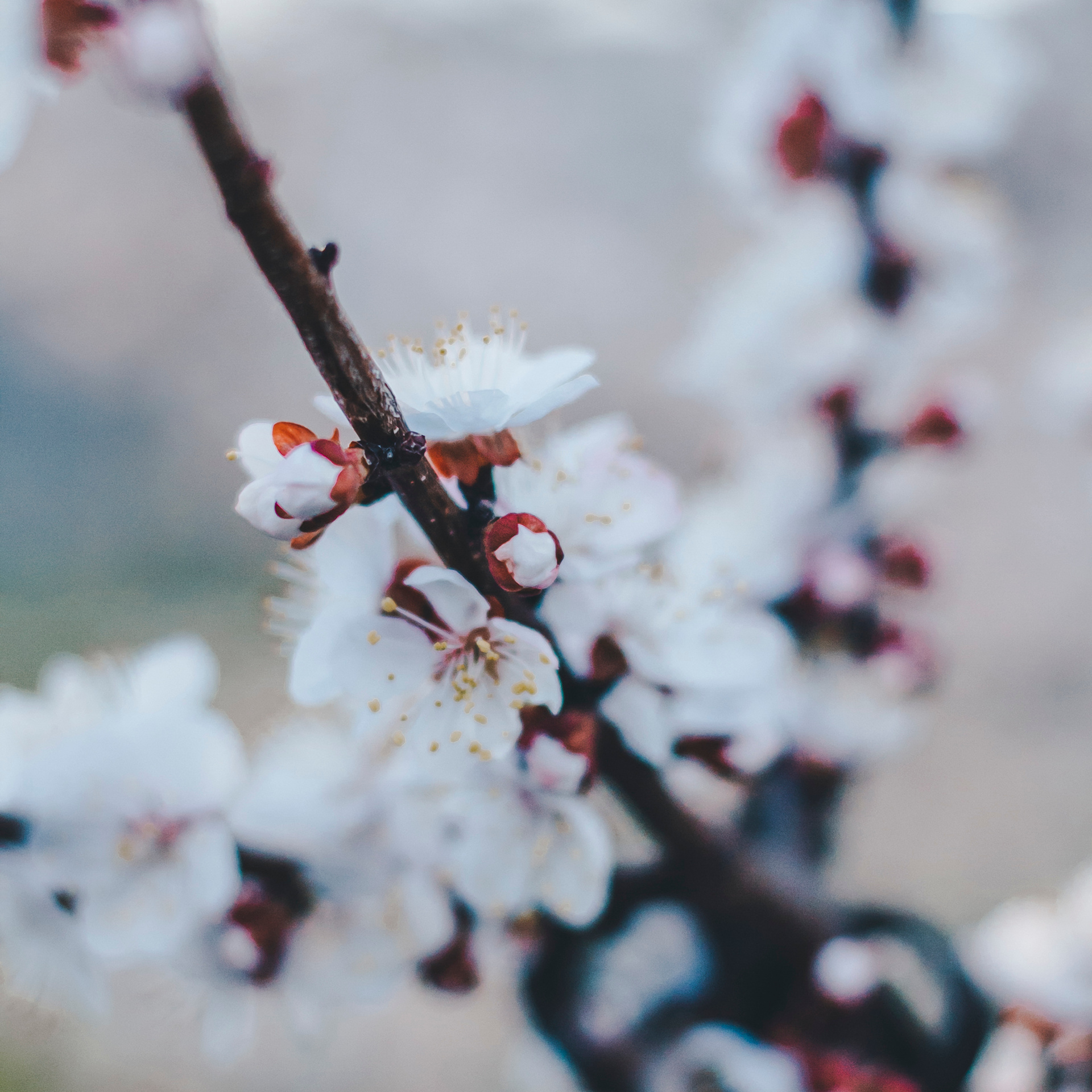 Уральск. Казахстан (май 2019)