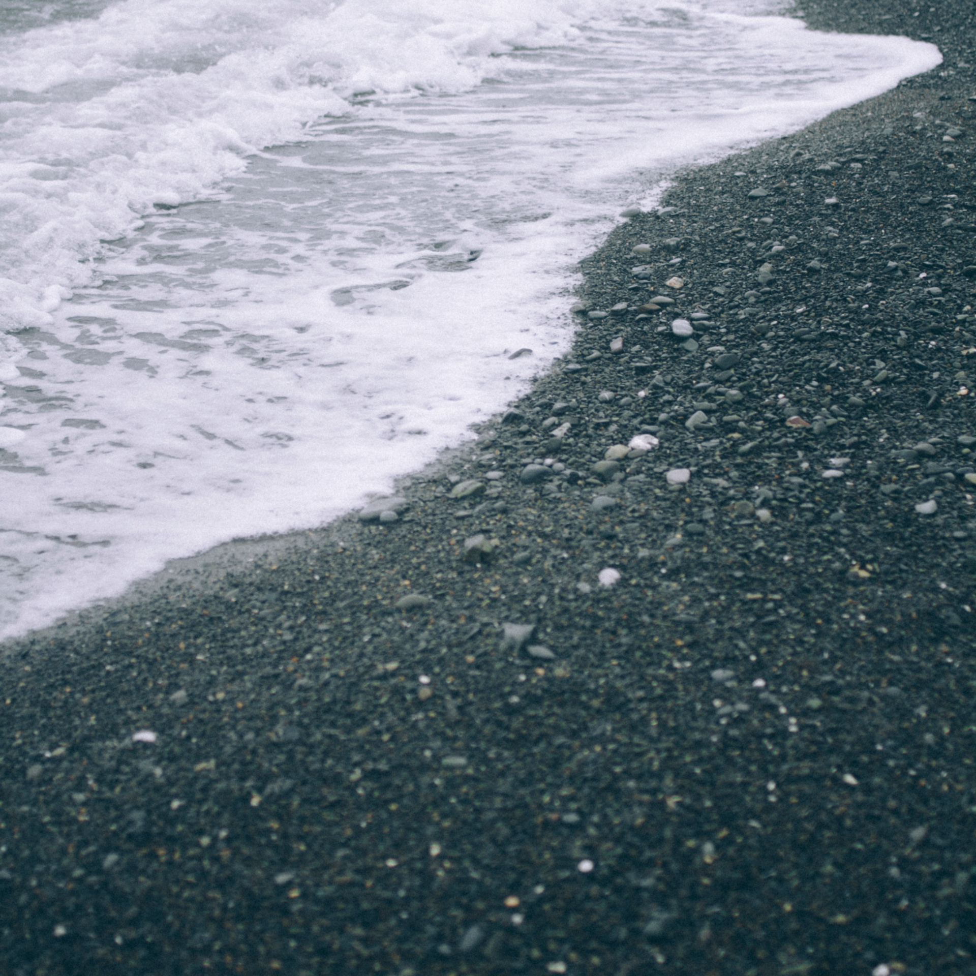 Сочи (декабрь 2017)