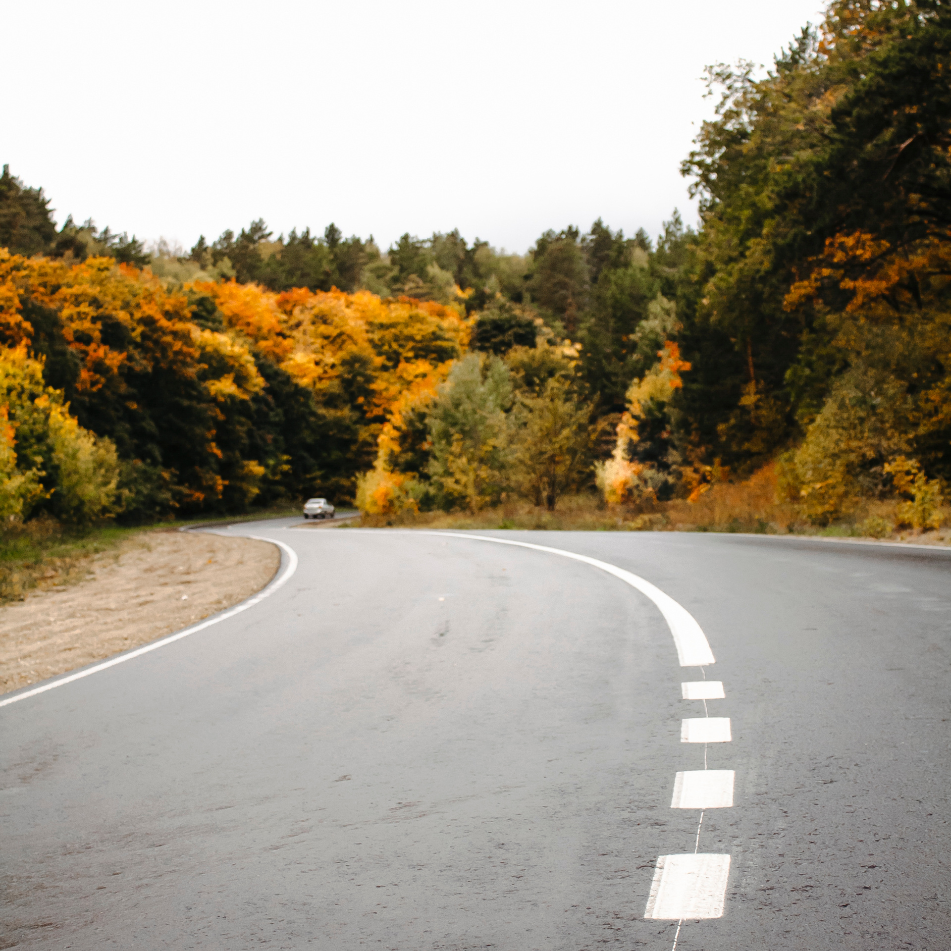 Хвалынский меловой карьер (сентябрь 2019)