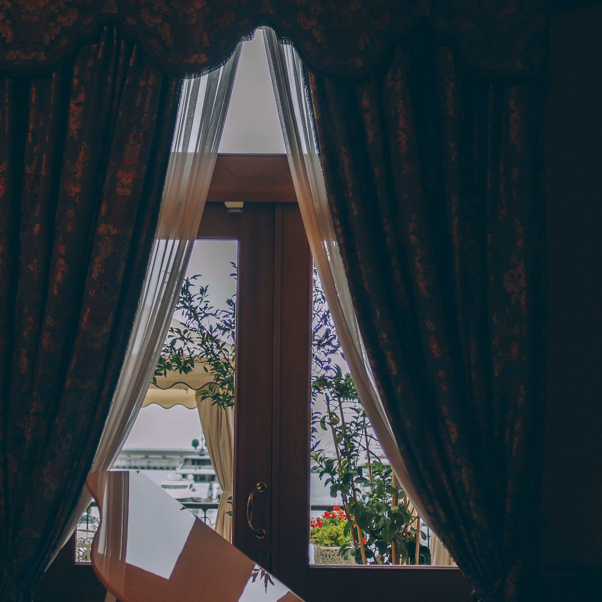 Сочи (декабрь 2017)