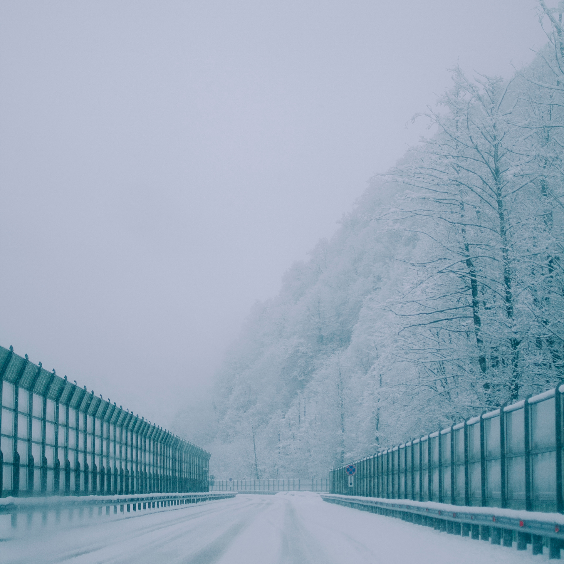 Сочи (декабрь 2017)