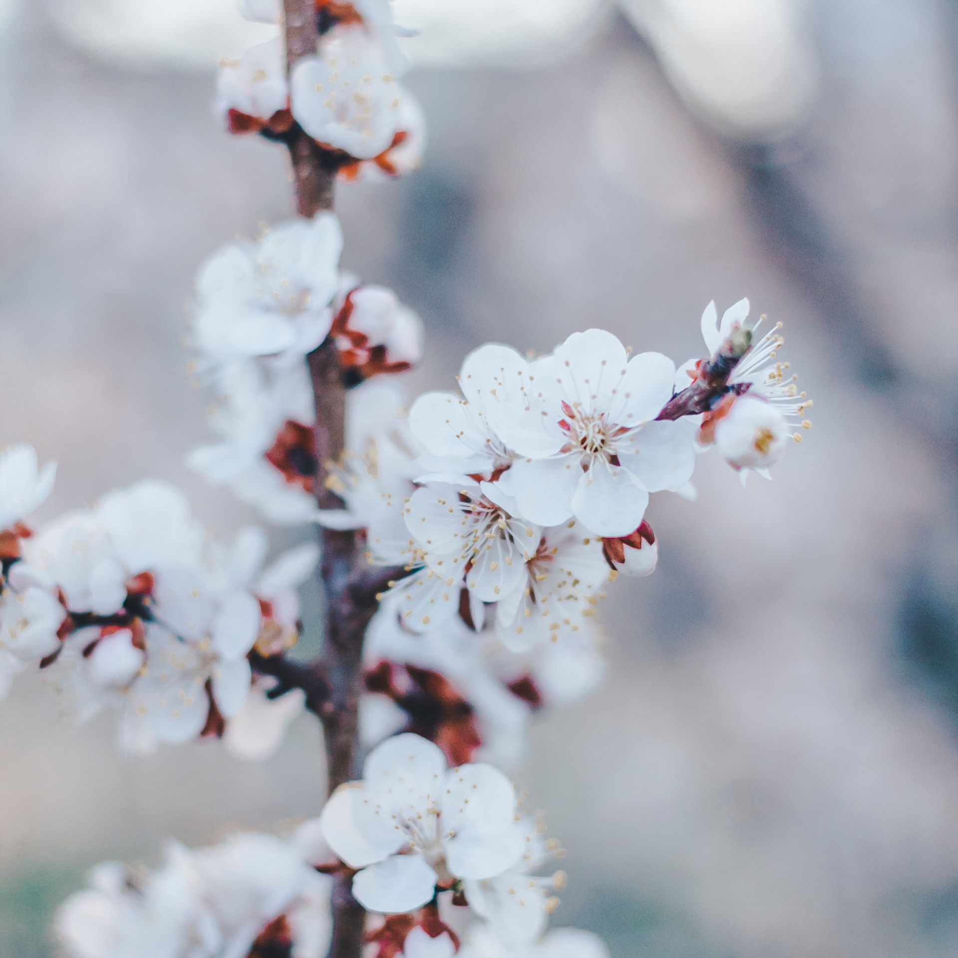 Уральск. Казахстан (май 2019)