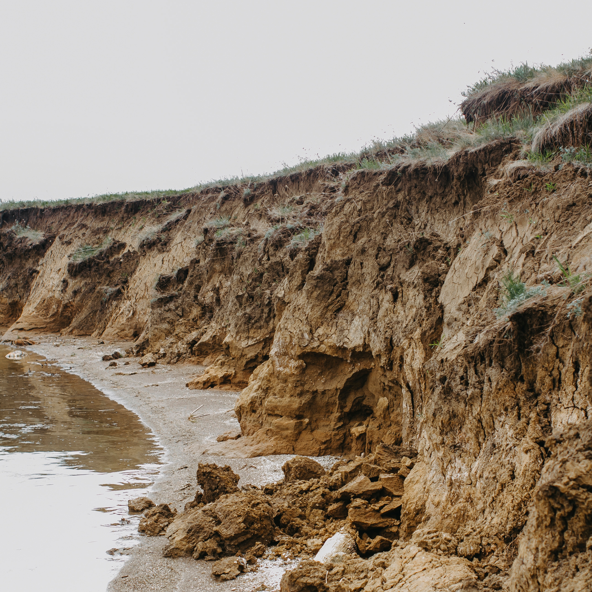 Хвалынские яблоневые сады (май 2019)