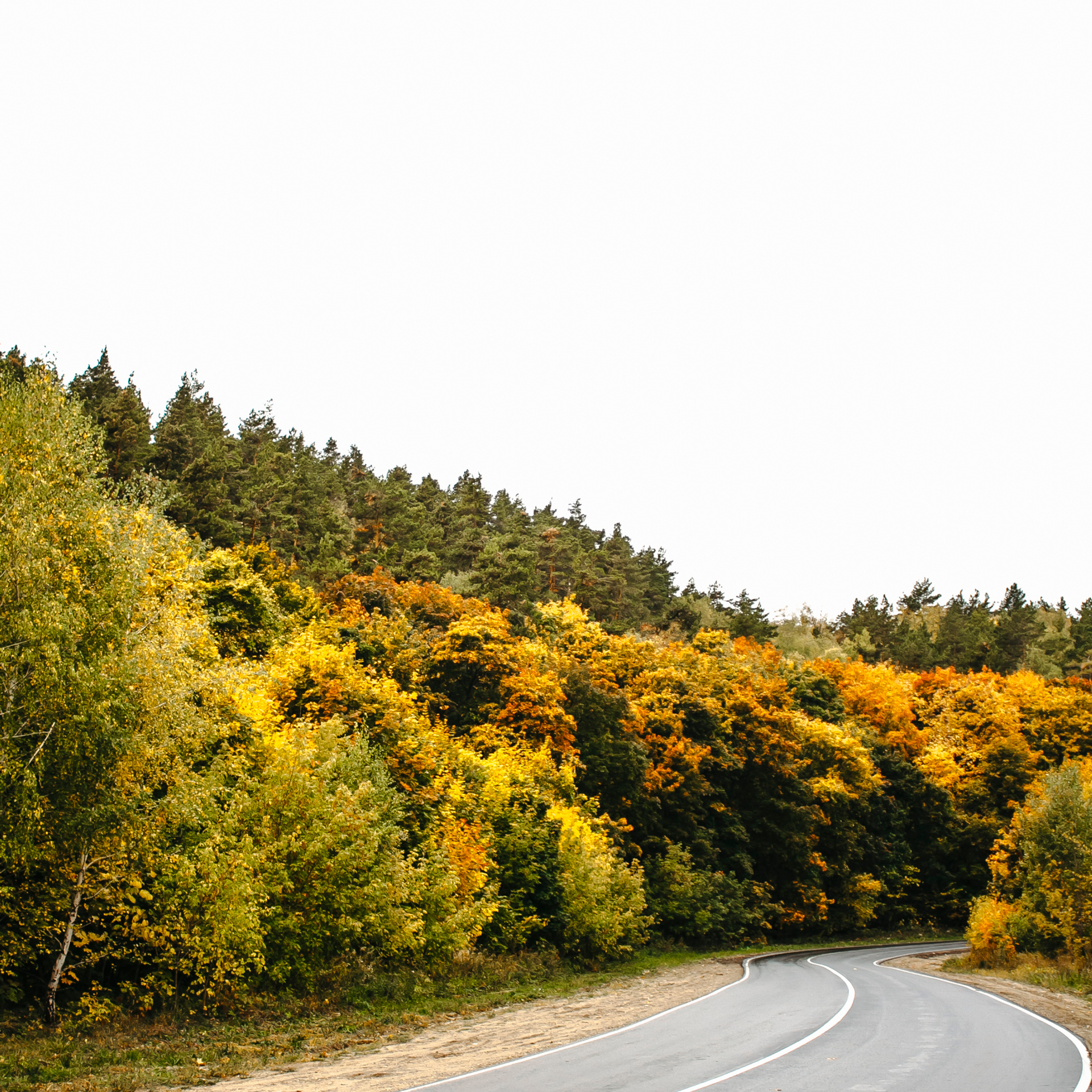 Хвалынский меловой карьер (сентябрь 2019)