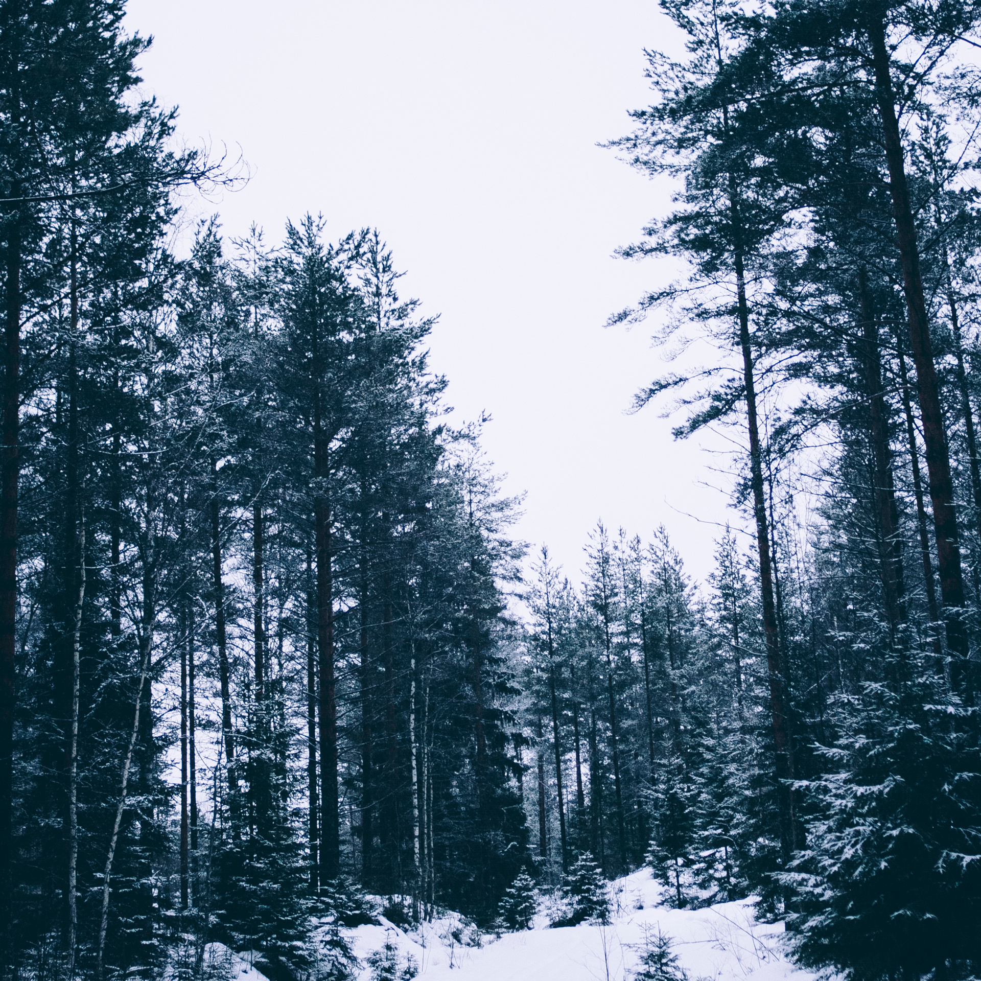 Финляндия (Новый год 2018)