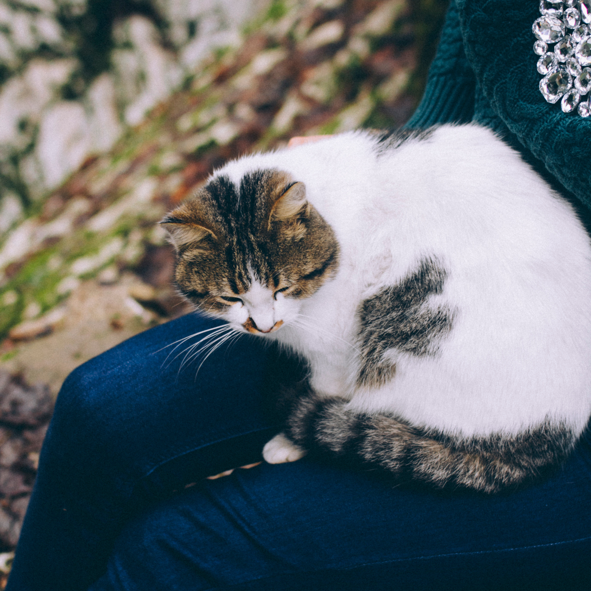 Сочи (декабрь 2017)