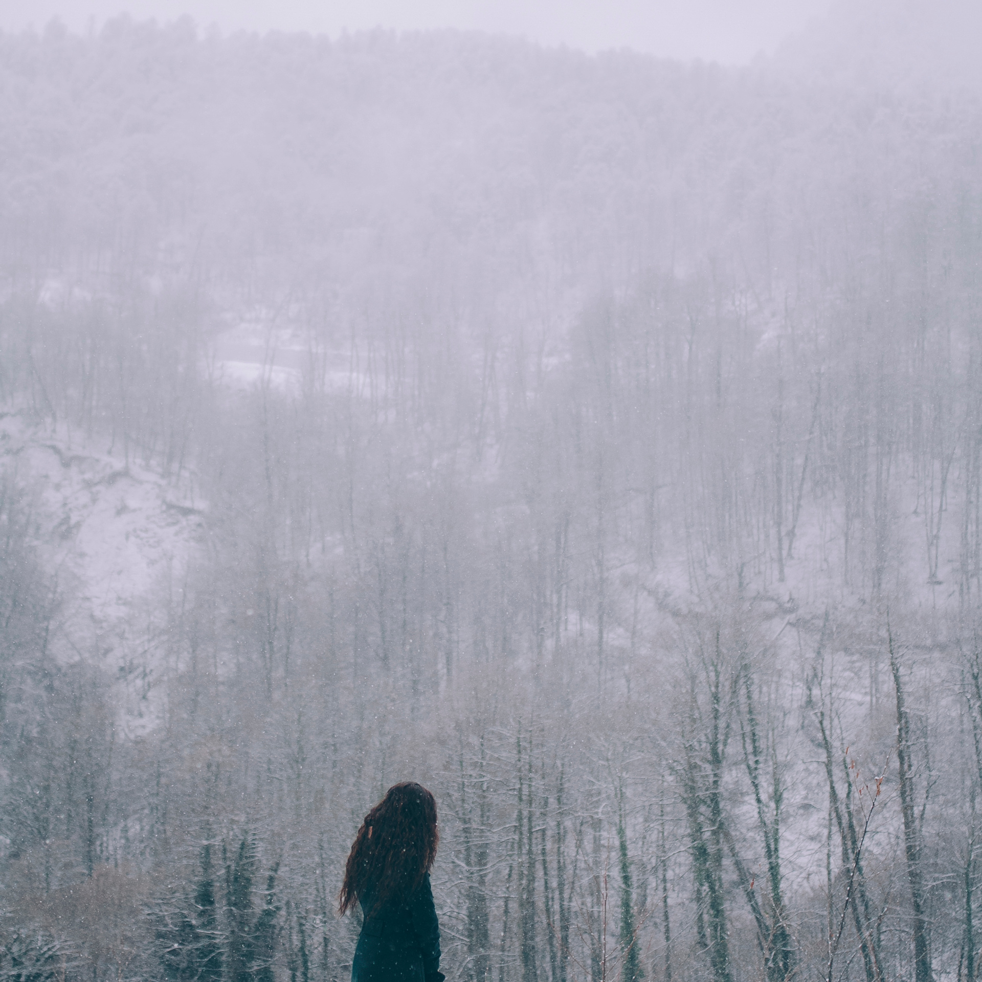 Сочи (декабрь 2017)