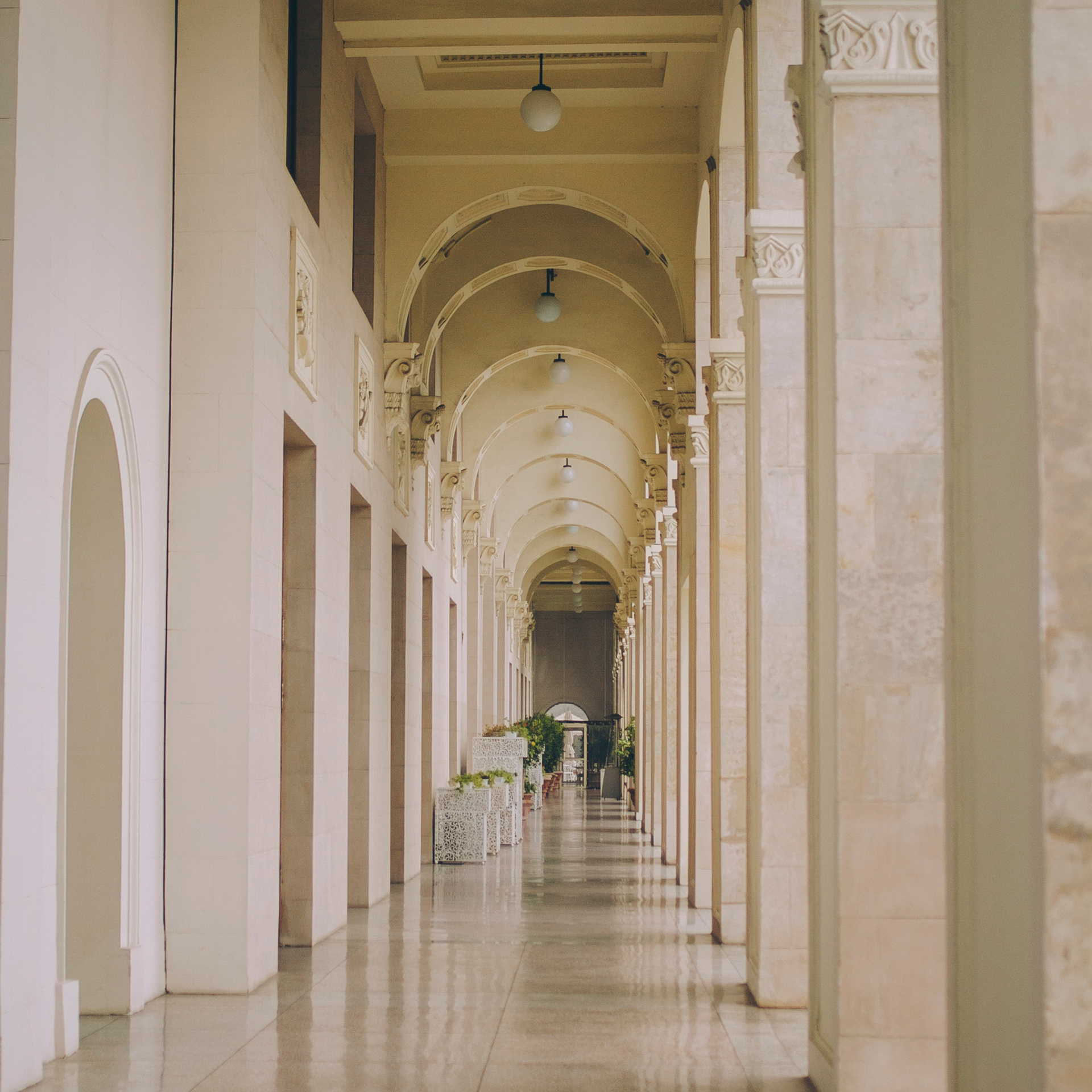 Сочи (декабрь 2017)