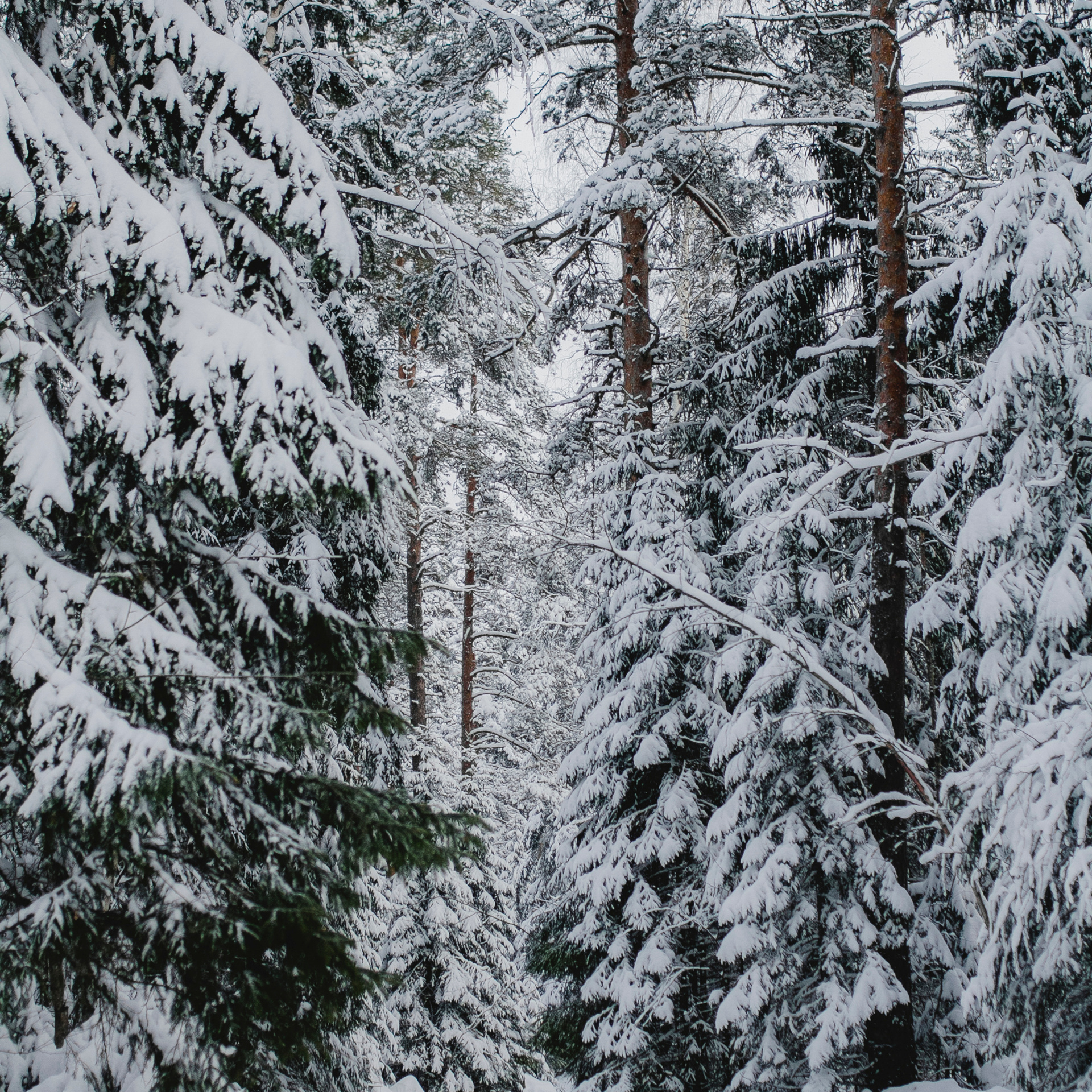 Рускеала Карелия (февраль 2018)