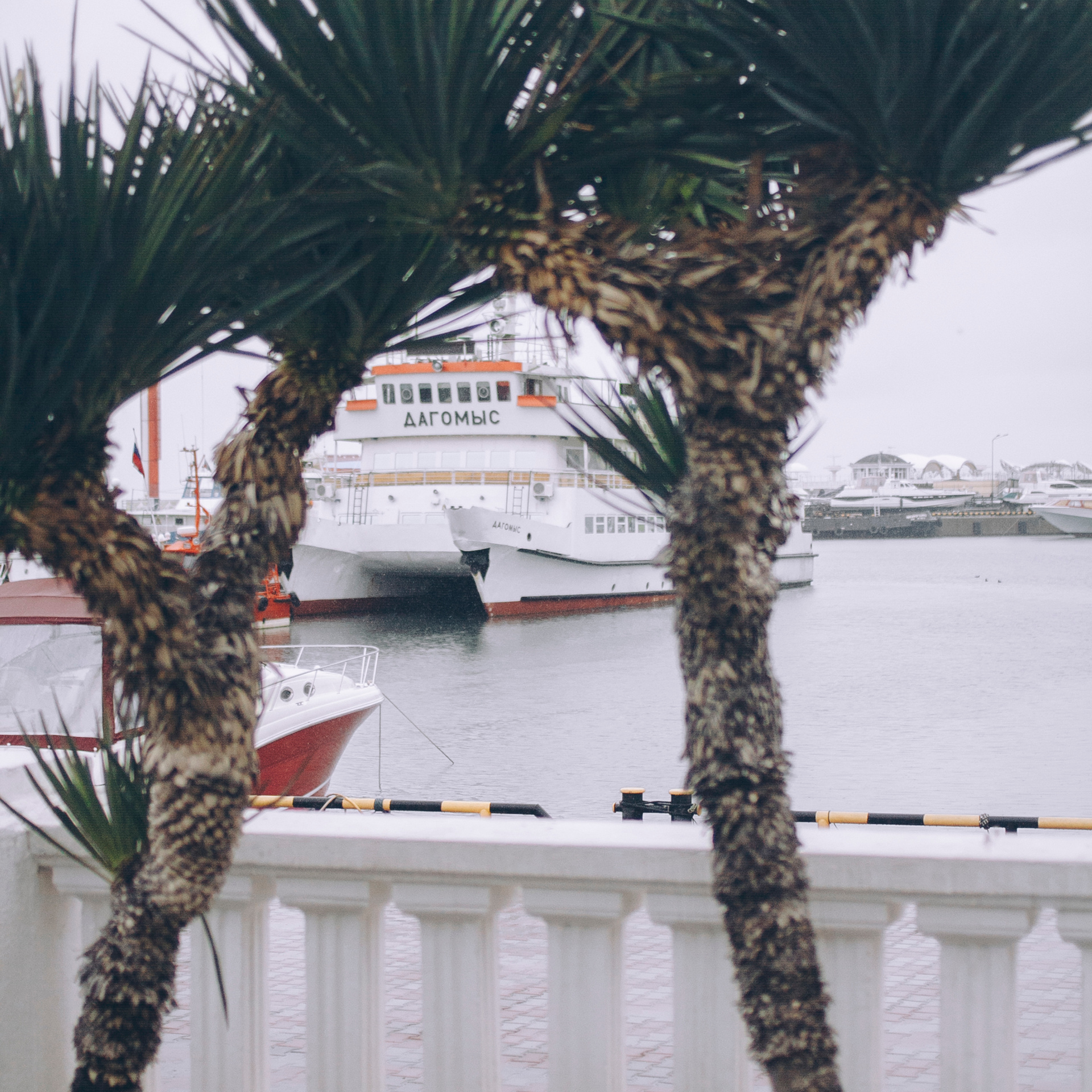 Сочи (декабрь 2017)