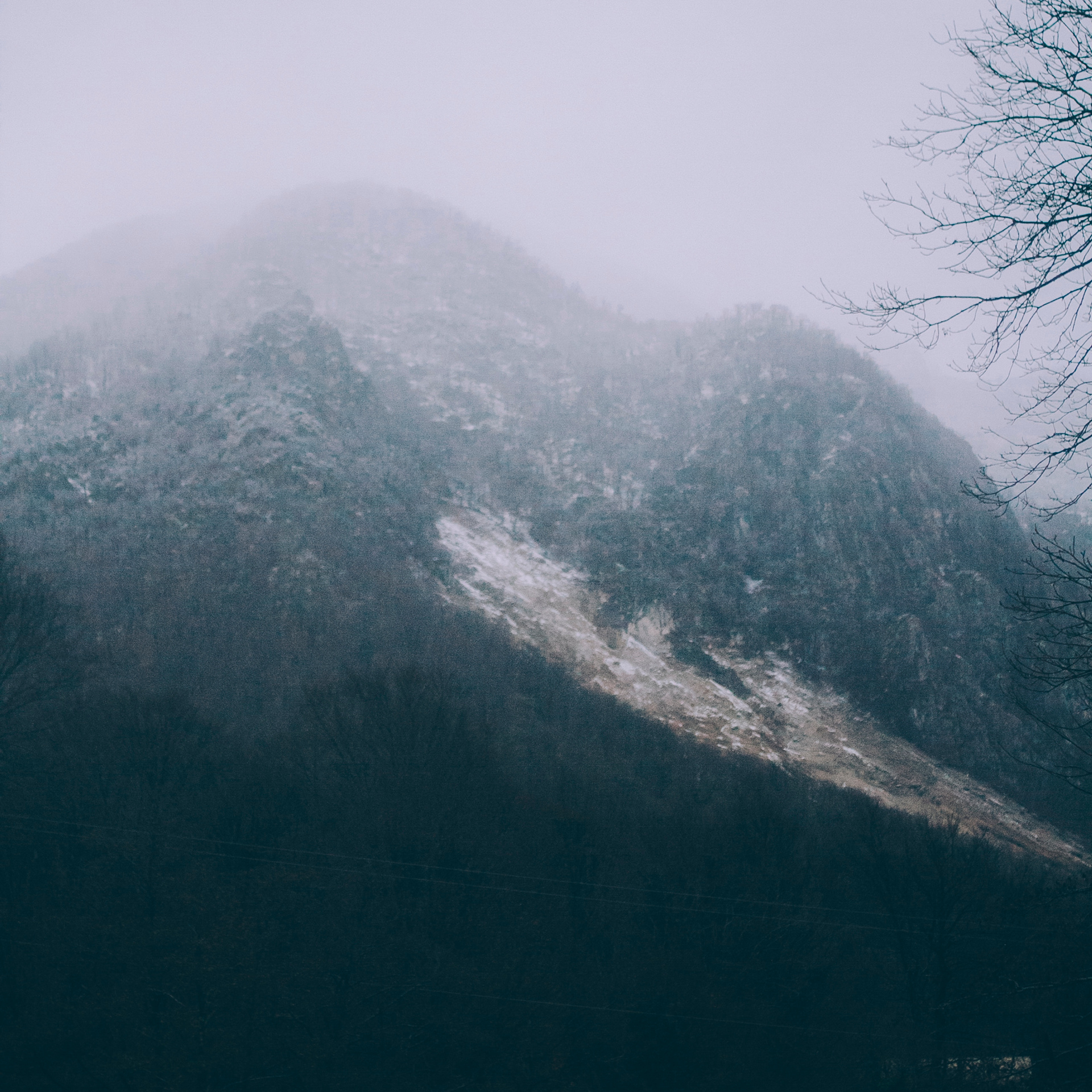 Сочи (декабрь 2017)