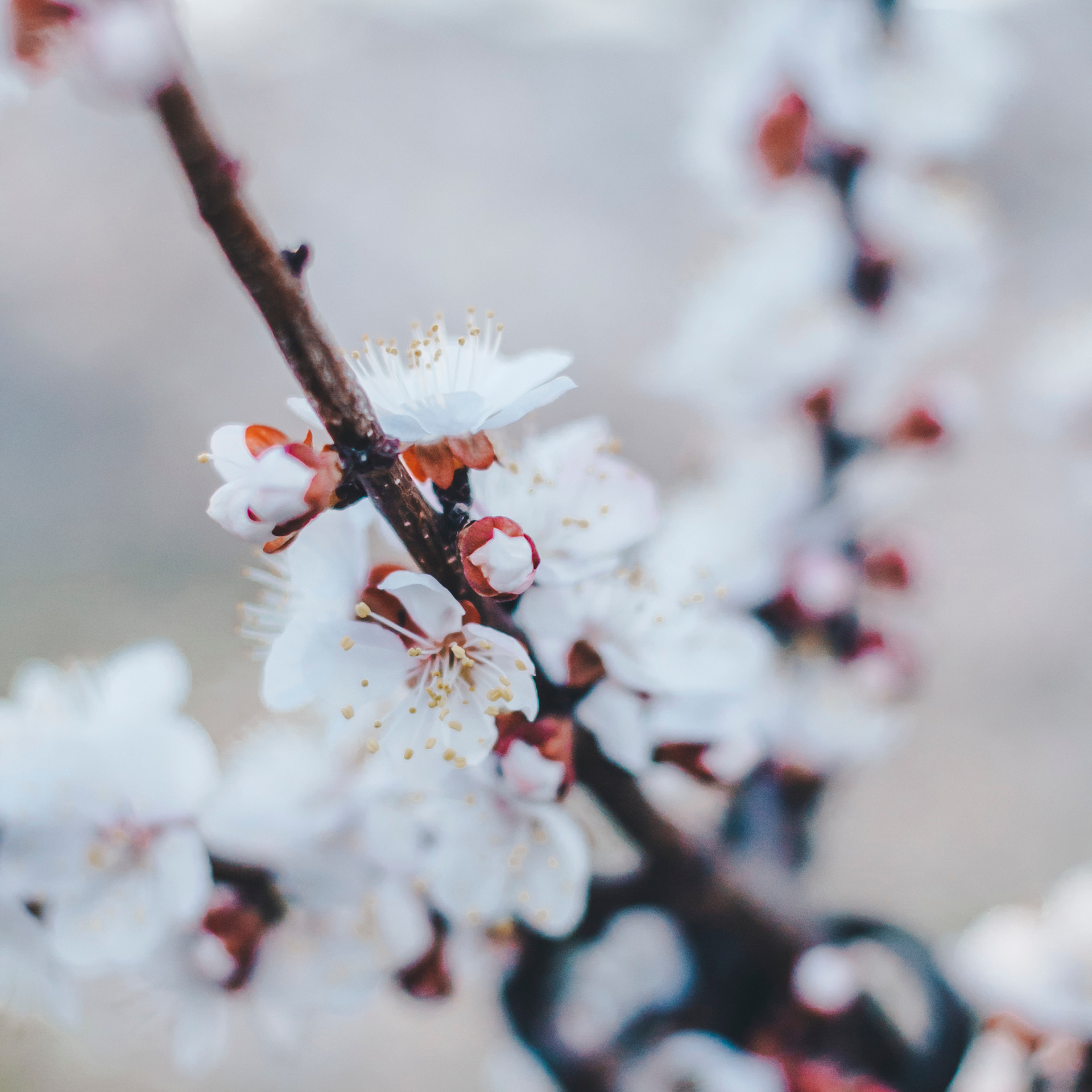 Уральск. Казахстан (май 2019)