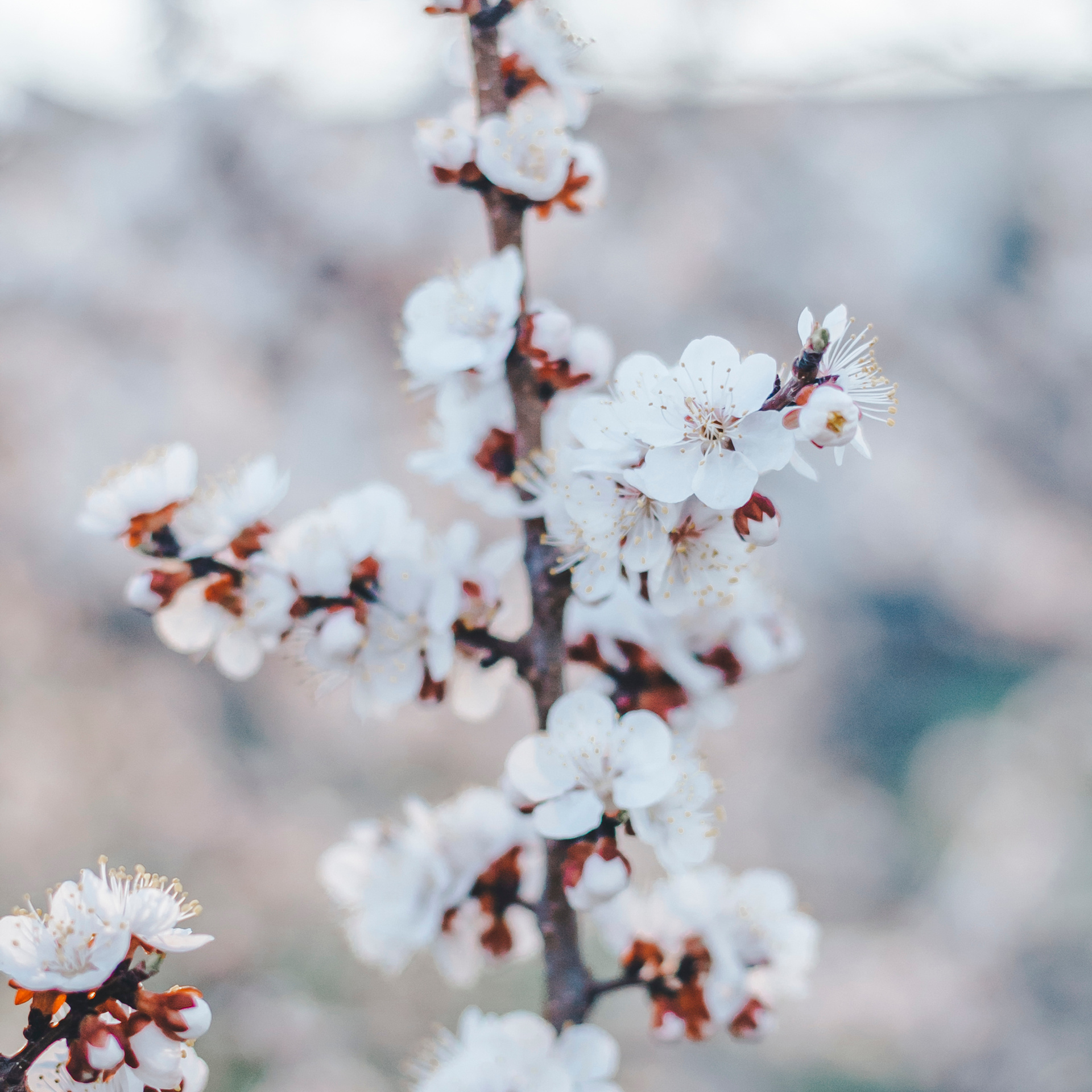 Уральск. Казахстан (май 2019)