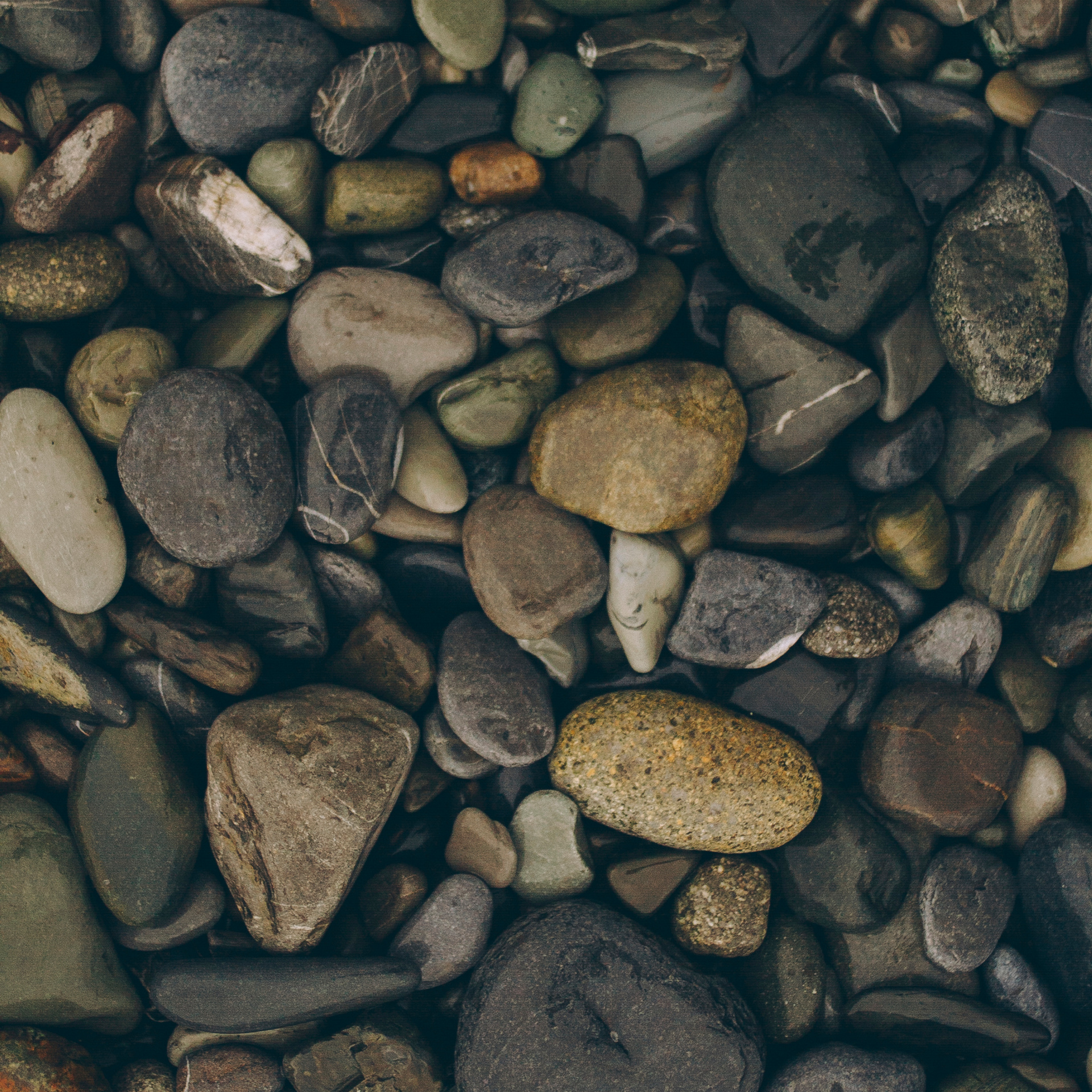 Сочи (декабрь 2017)