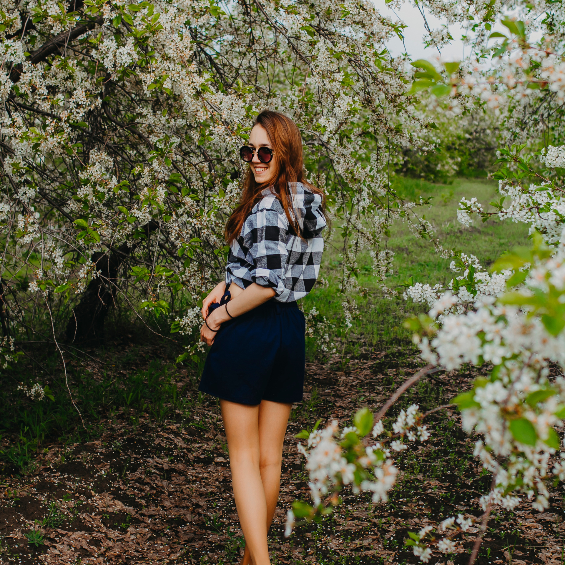 Хвалынские яблоневые сады (май 2019)