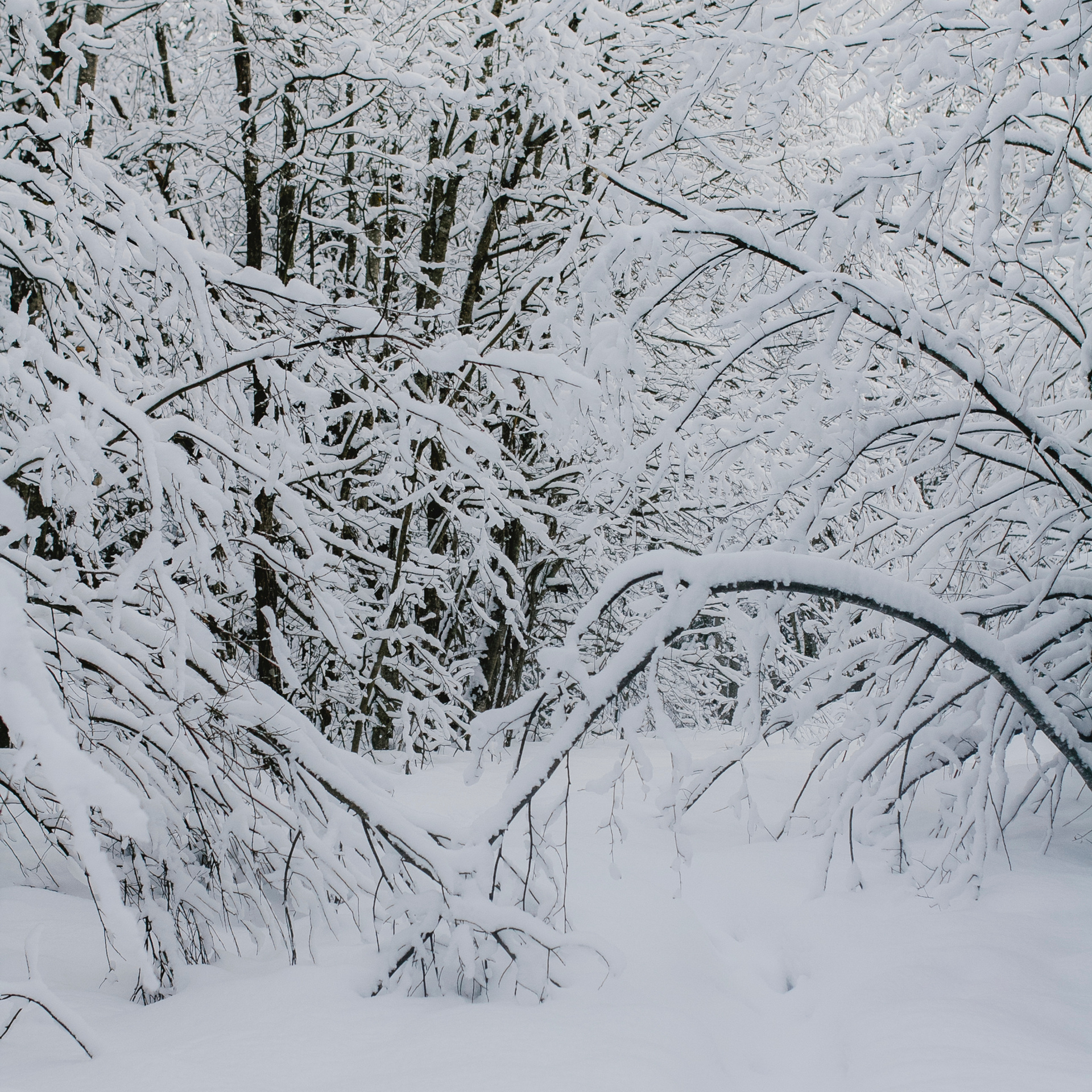 Рускеала Карелия (февраль 2018)