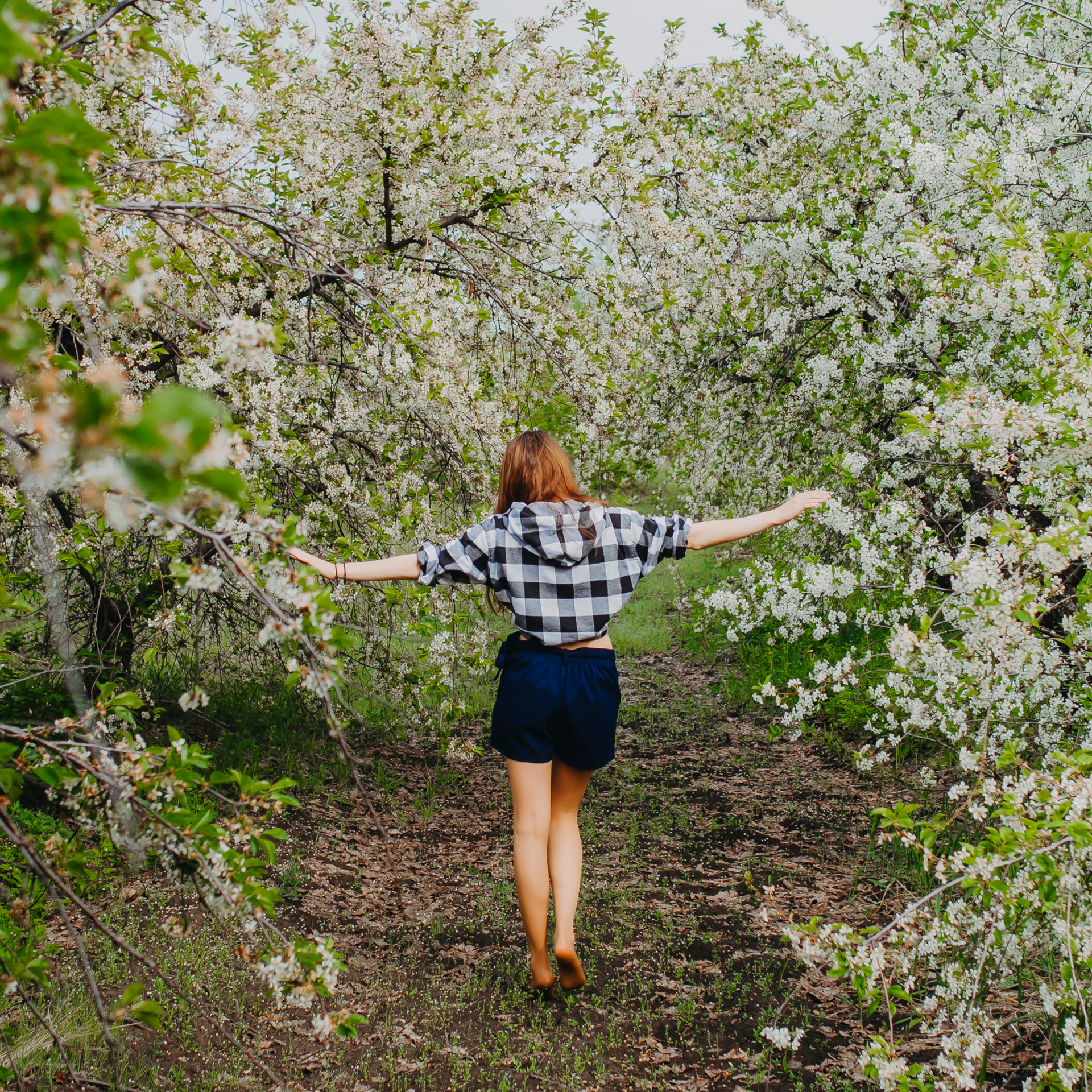Хвалынские яблоневые сады (май 2019)