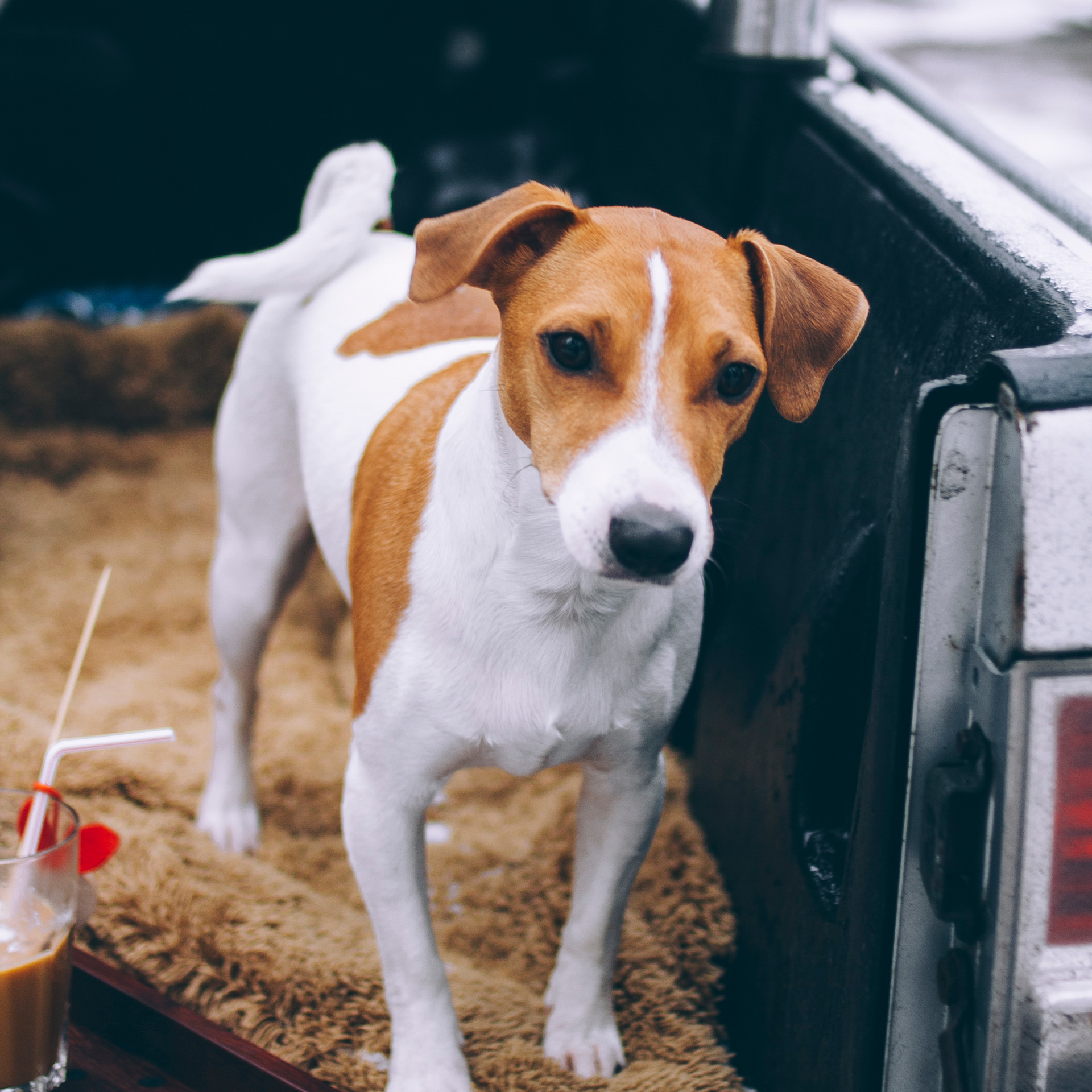 Финляндия (Новый год 2018)