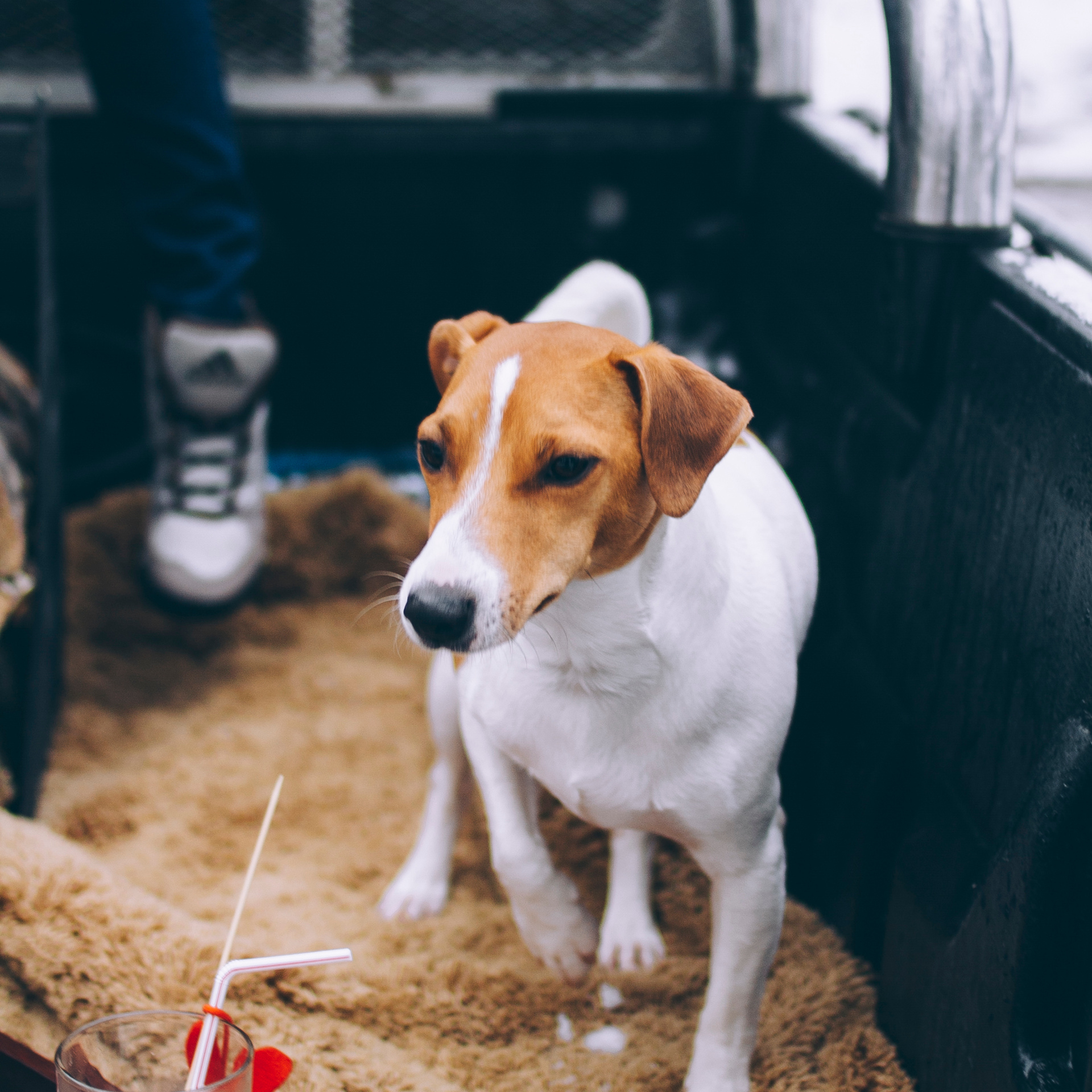 Финляндия (Новый год 2018)