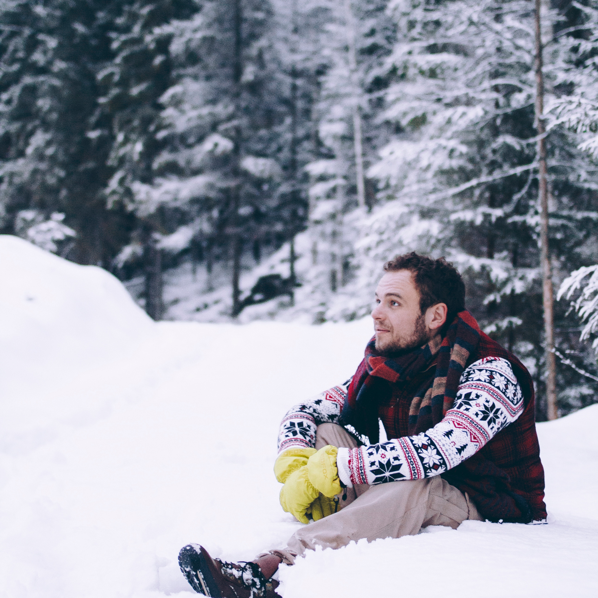 Финляндия (Новый год 2018)